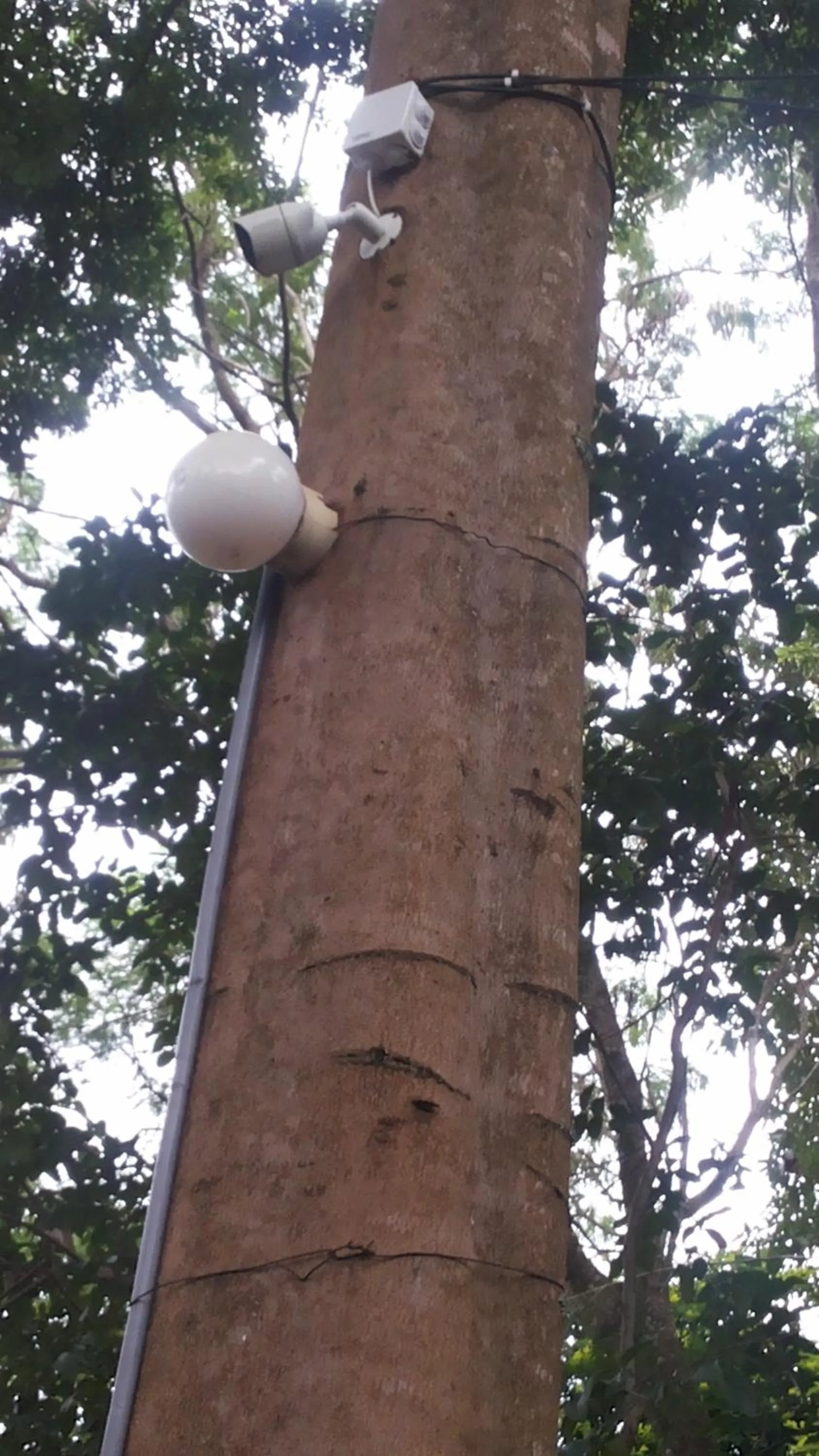 White Castle Hotel Arua