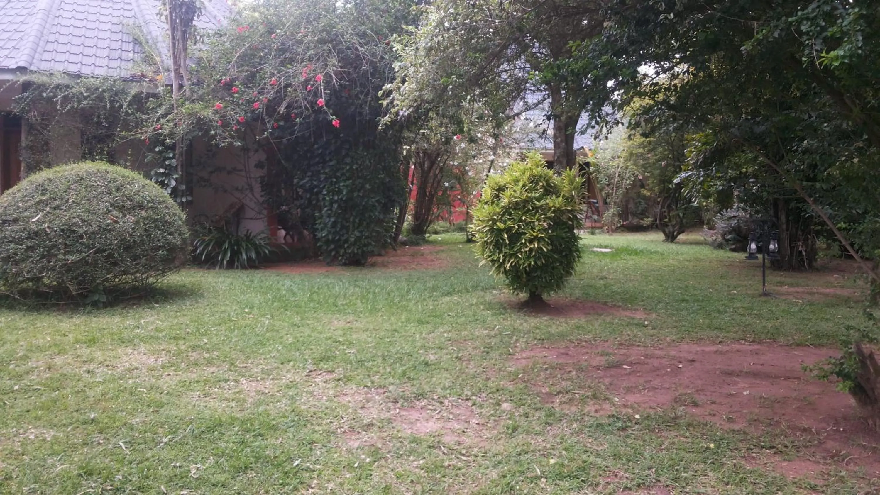 Garden view in White Castle Hotel Arua