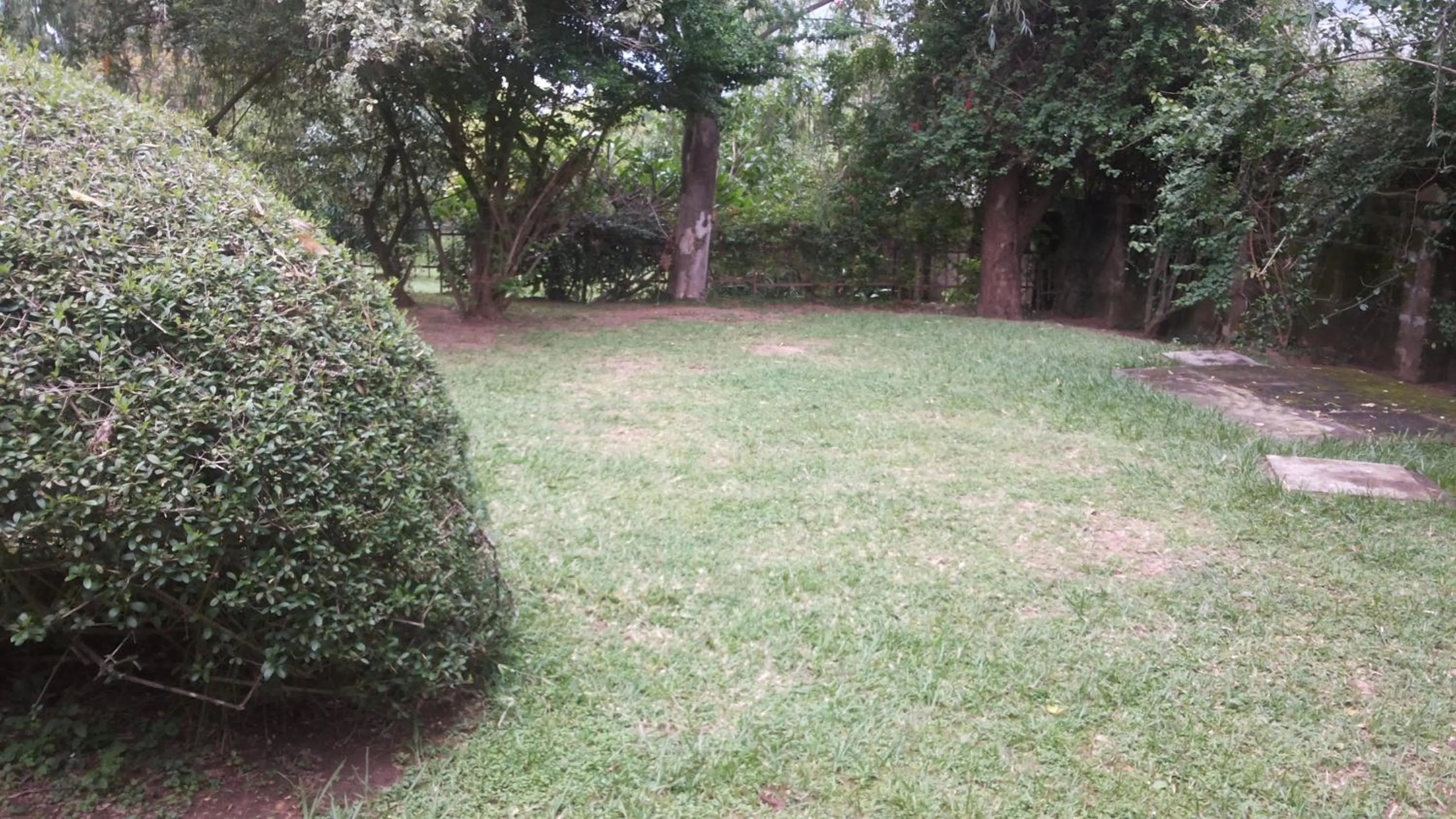 Garden view in White Castle Hotel Arua