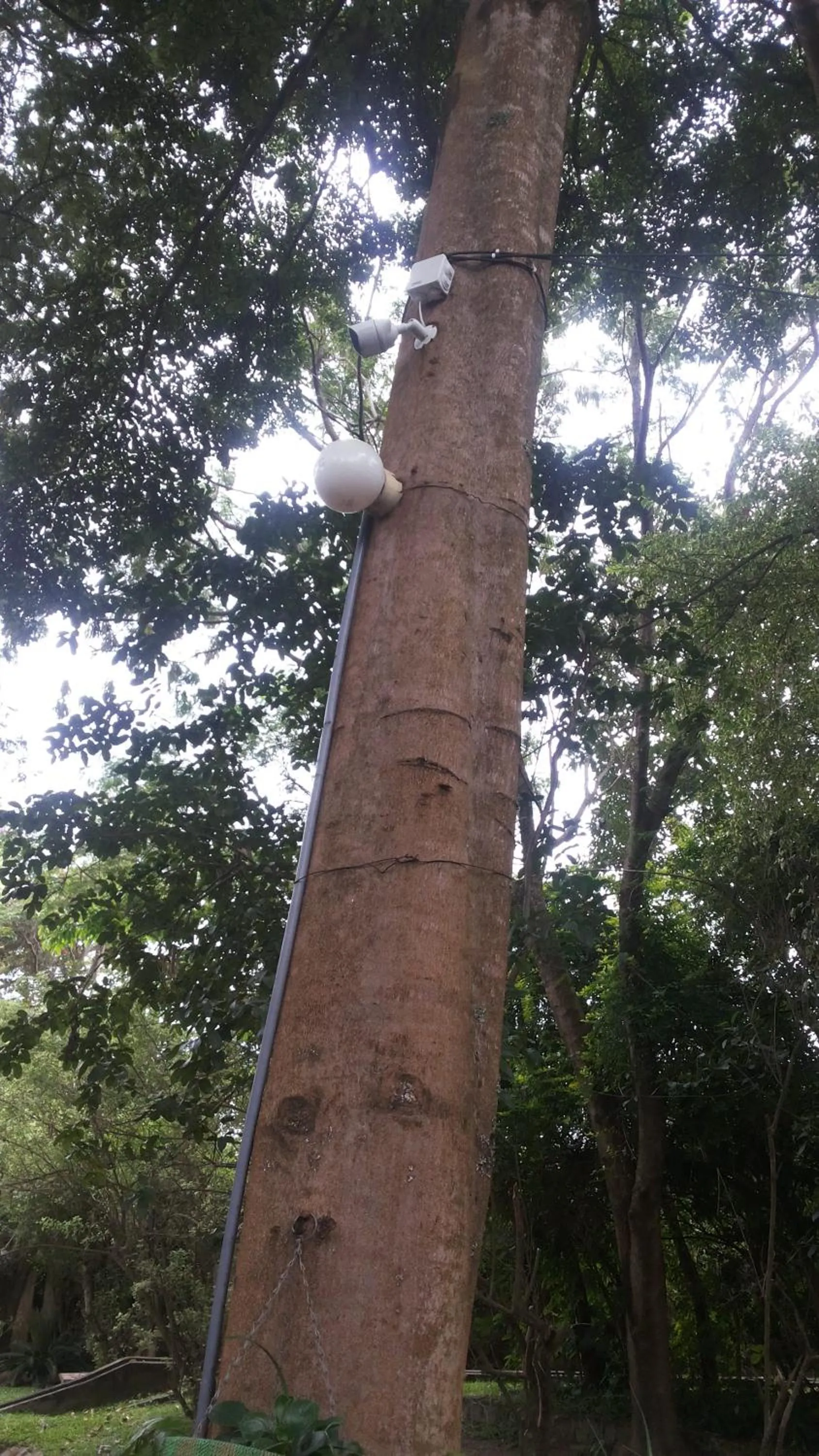 White Castle Hotel Arua