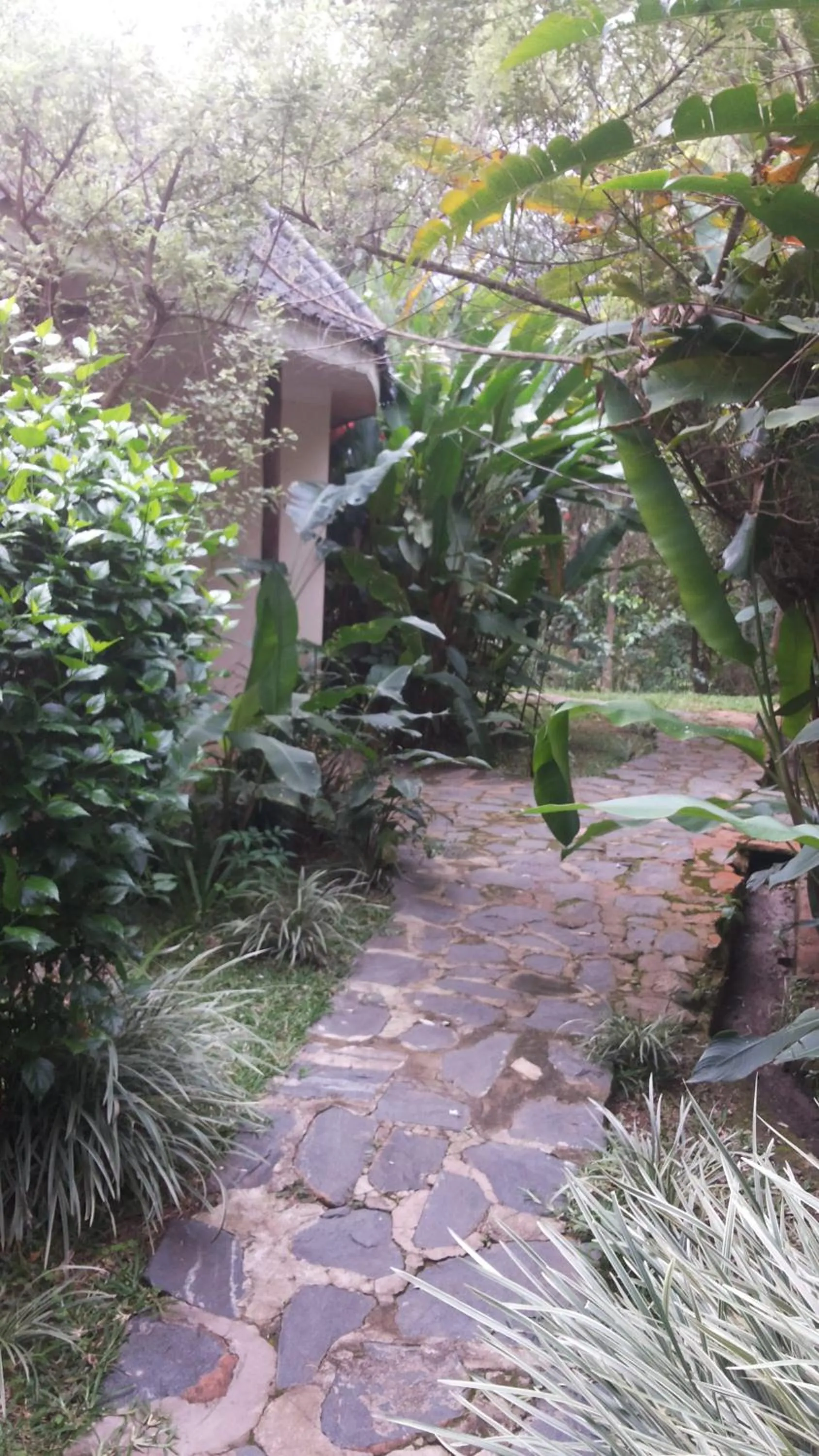 Patio in White Castle Hotel Arua