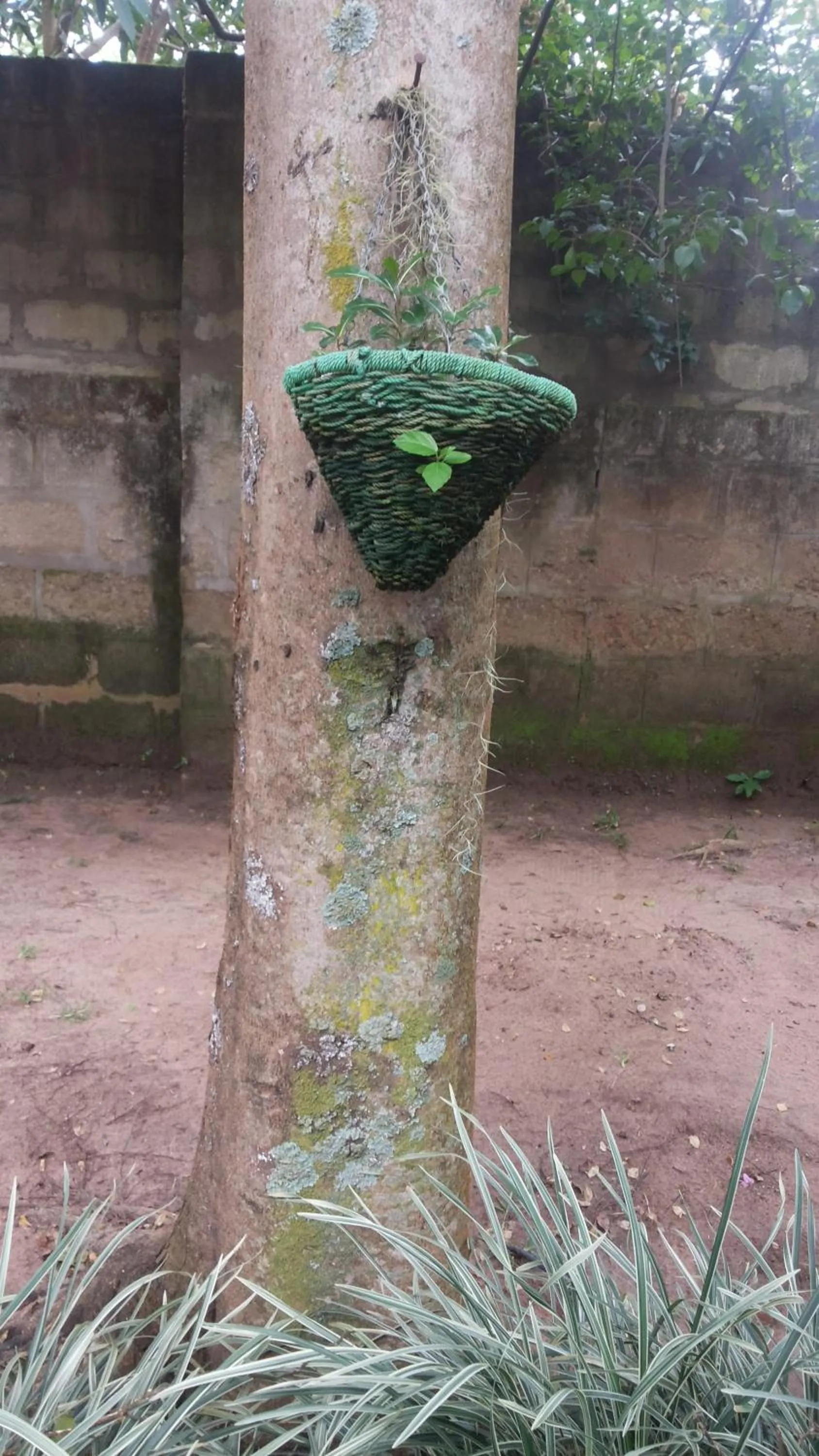 White Castle Hotel Arua