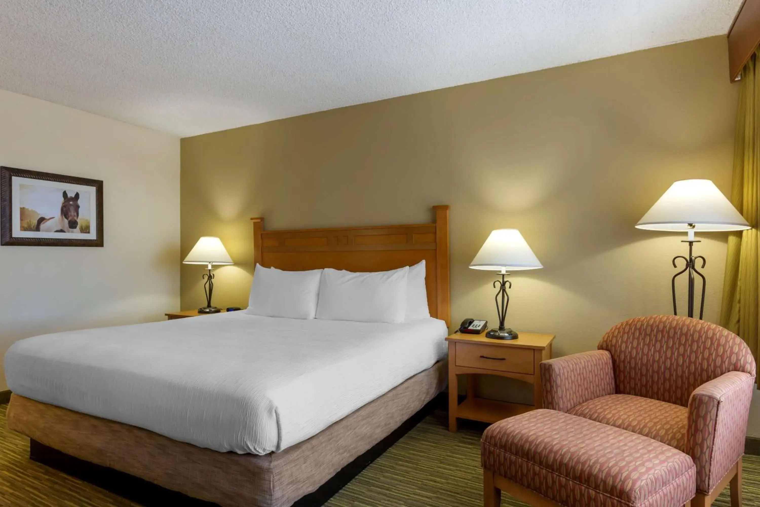 King Room - Disability Access in Best Western Paint Pony Lodge King Room - Disability Access in Best Western Paint Pony Lodge