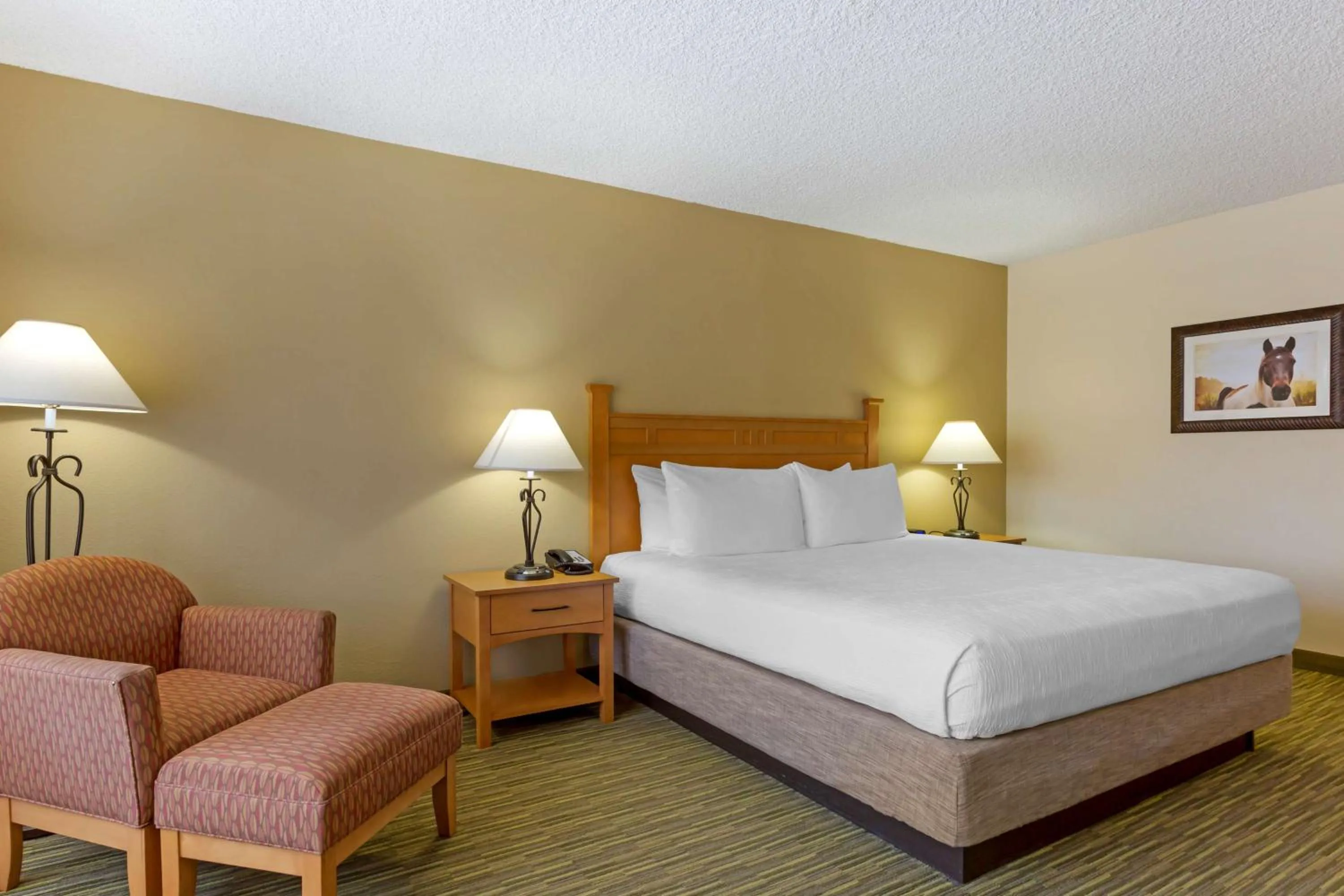 Bedroom, Bed in Best Western Paint Pony Lodge