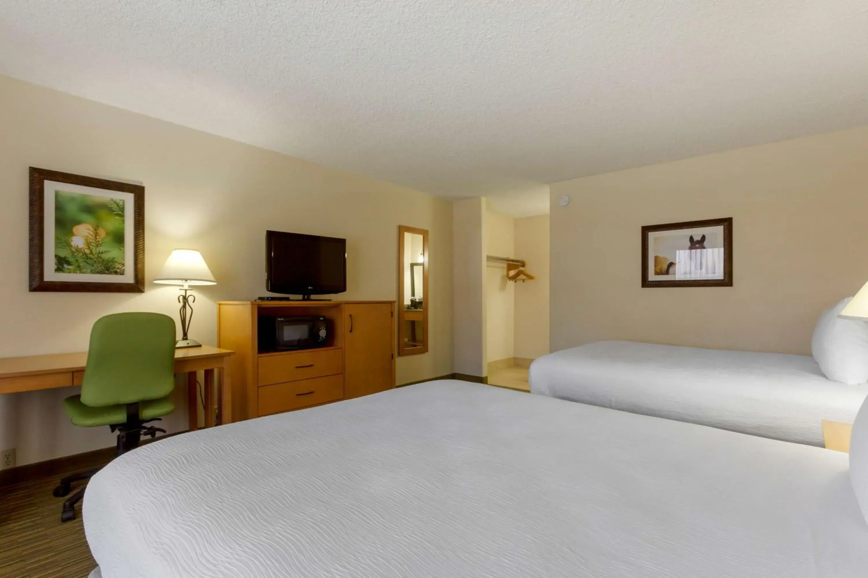 Bedroom, Bed in Best Western Paint Pony Lodge Bedroom, Bed in Best Western Paint Pony Lodge