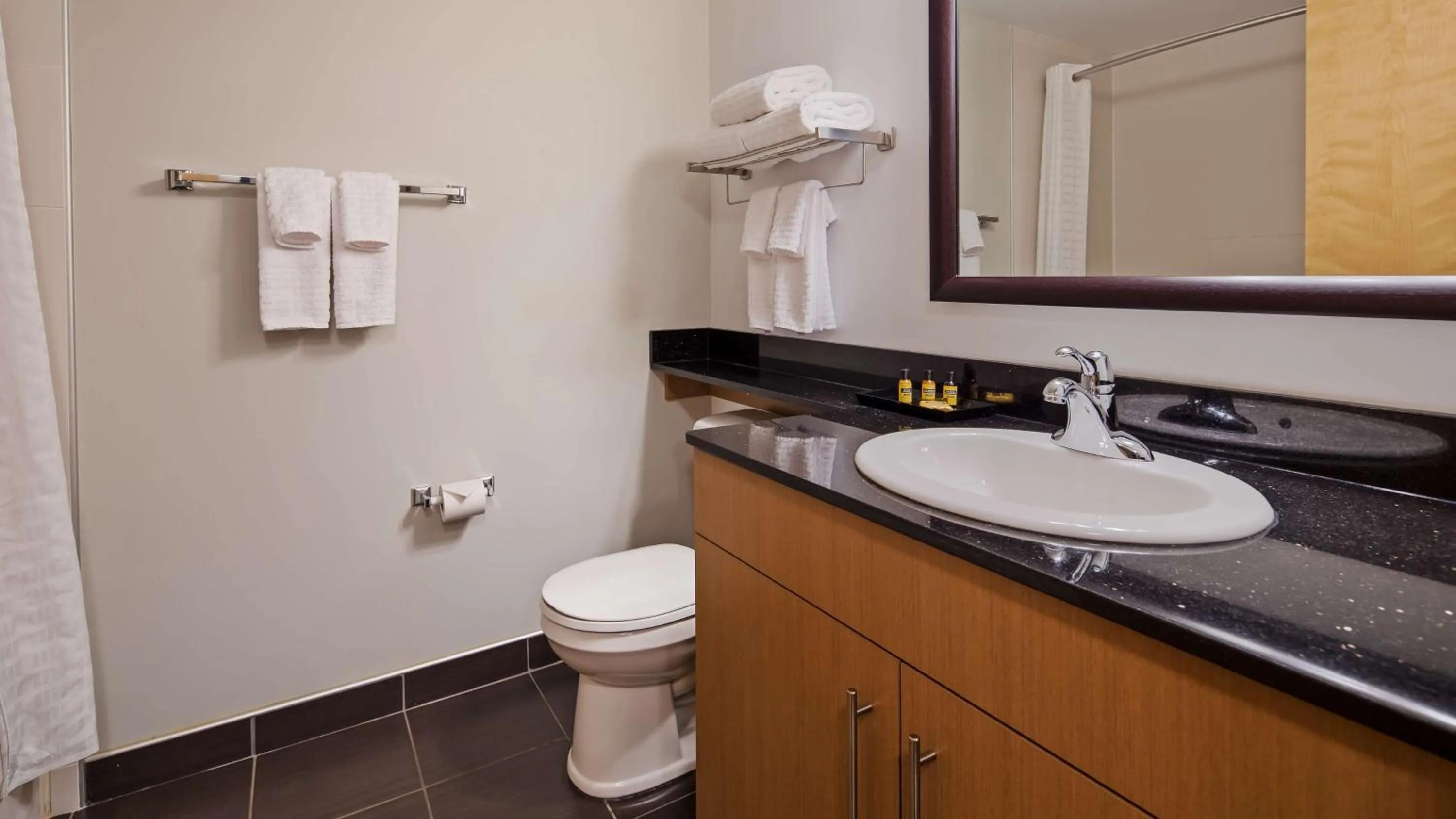 Bathroom in Best Western Plus Airport Inn & Suites