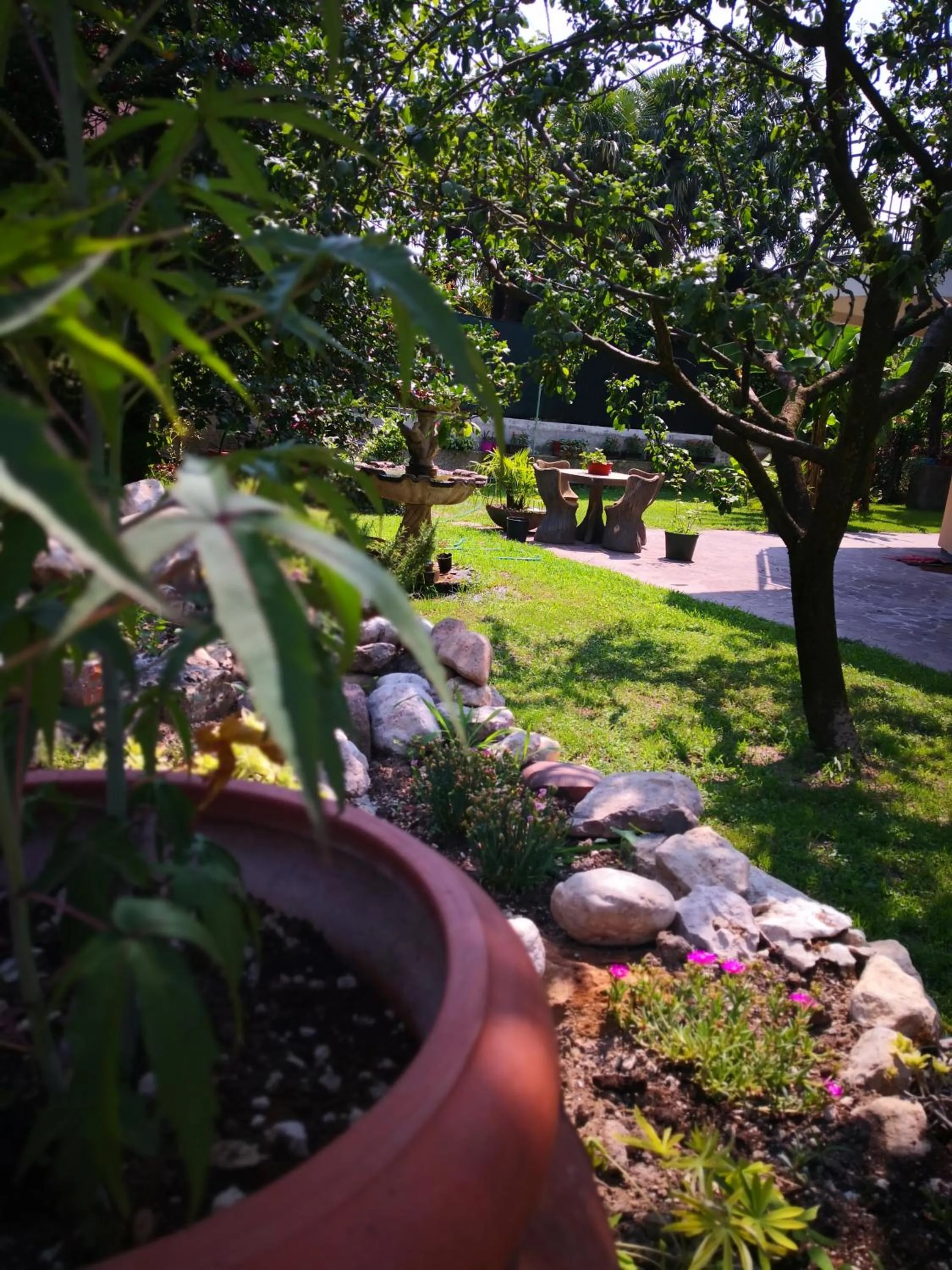 Garden in B&B Esmeralda