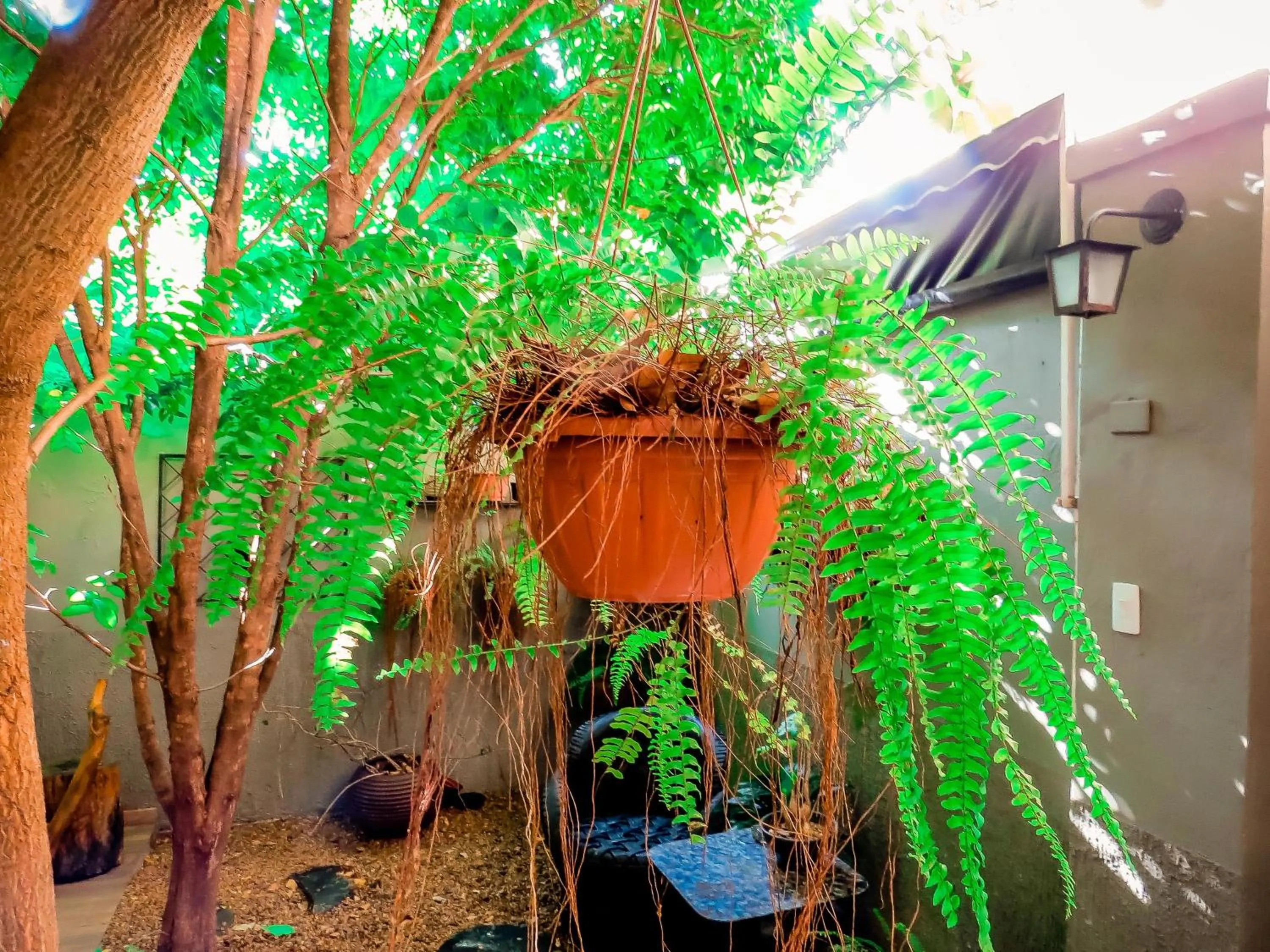 Garden in Casa Perpetua Hotel D Charm