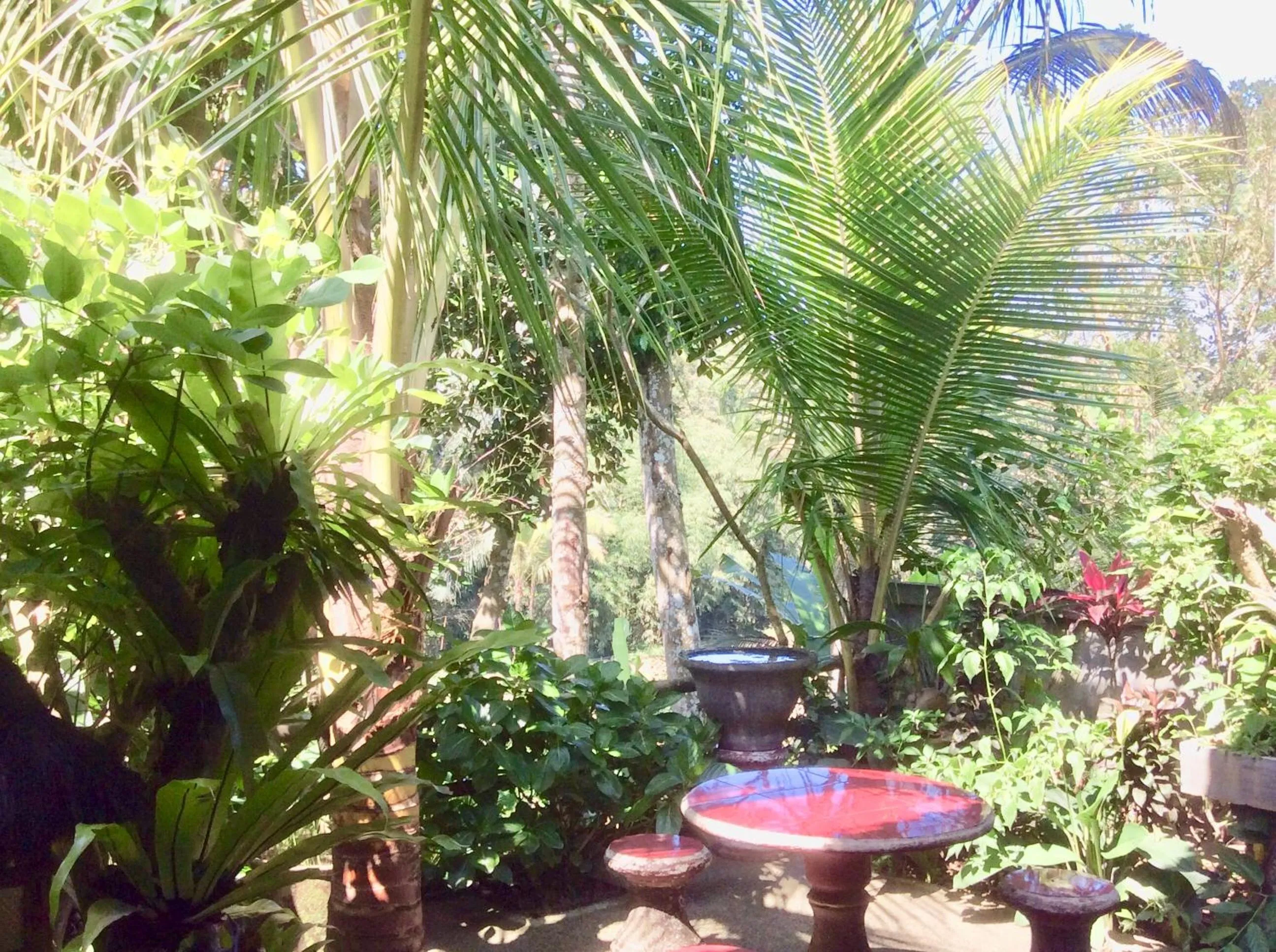 Garden view in Rumah Irak et Kadek Bali