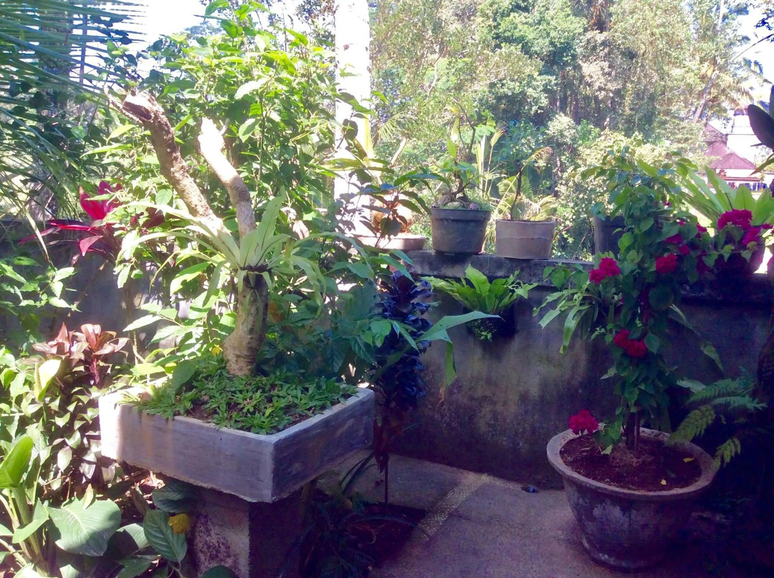 Day in Rumah Irak et Kadek Bali