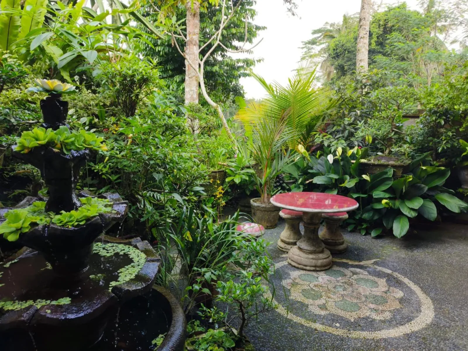 Natural landscape in Rumah Irak et Kadek Bali