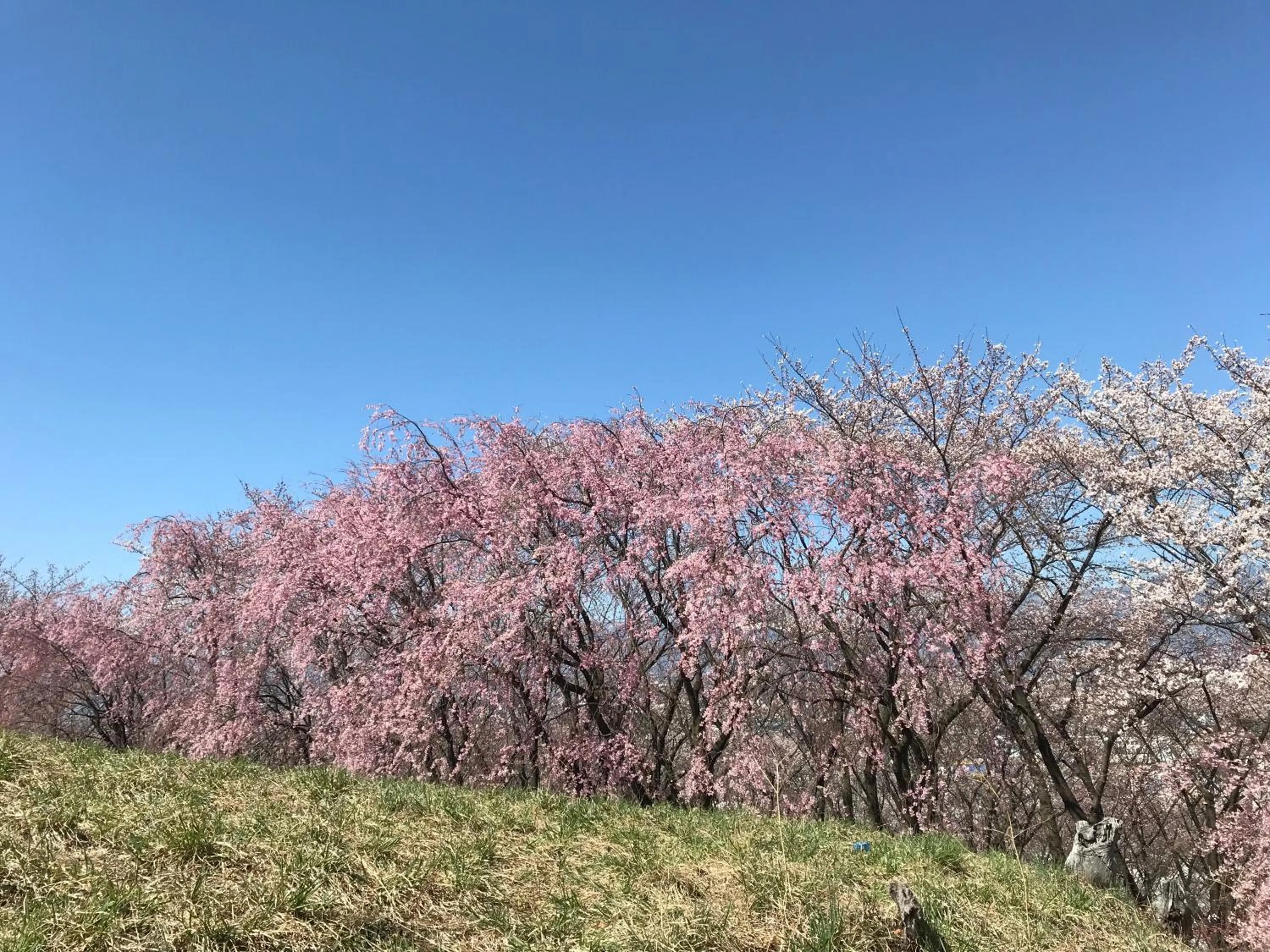 Natural landscape in cafe&stay CASTANA