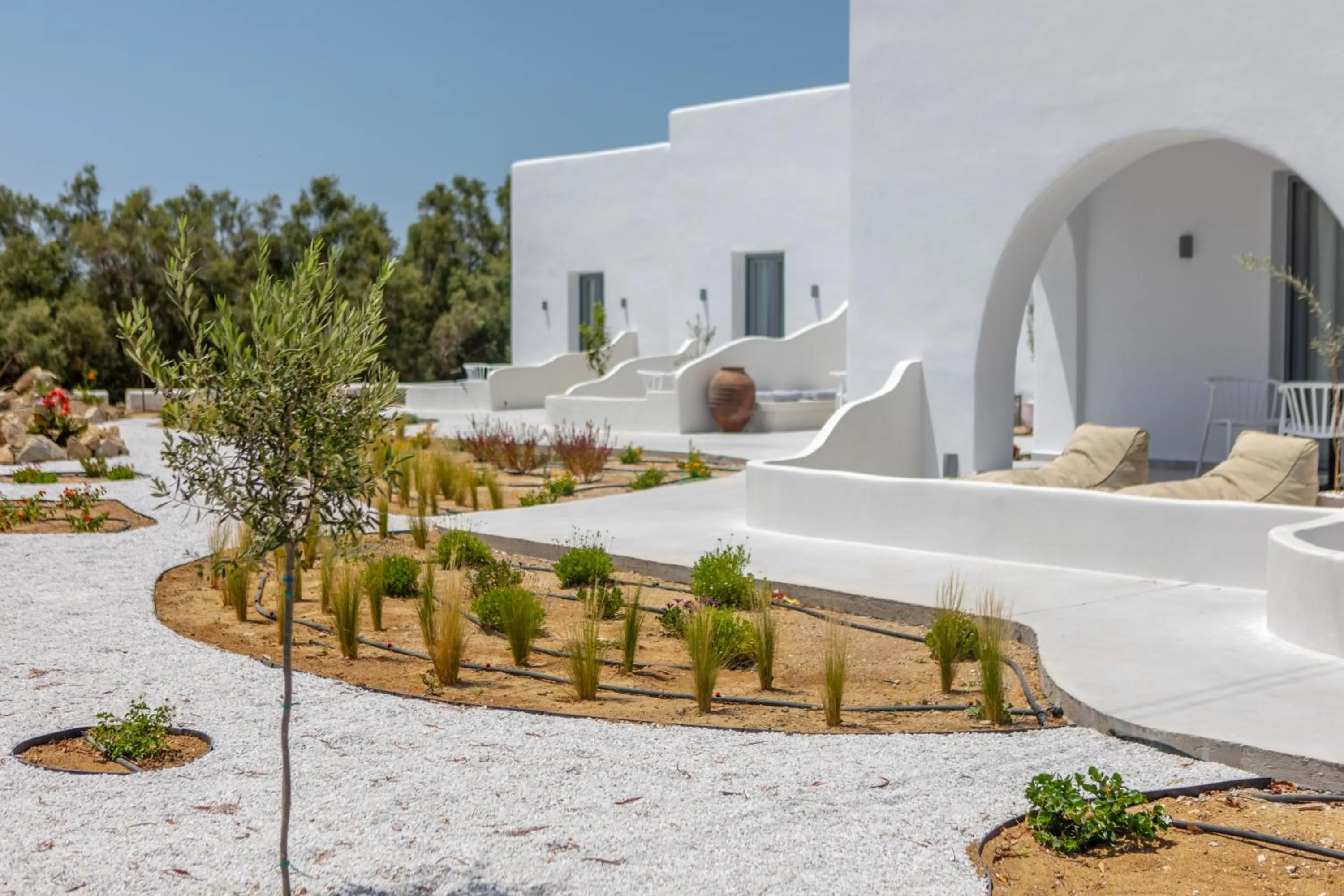 Garden in Crystal Mare Suites