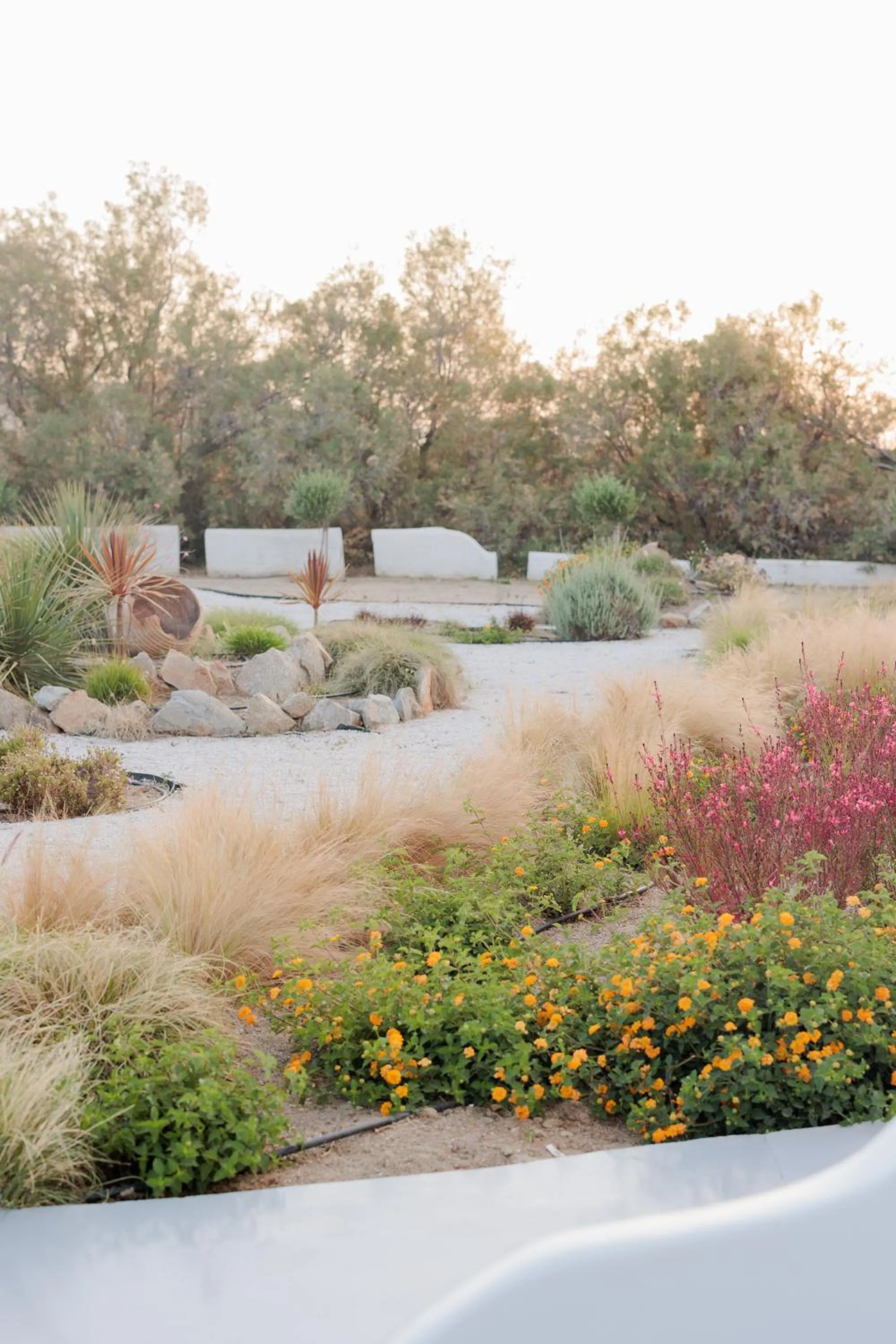 Garden in Crystal Mare Suites