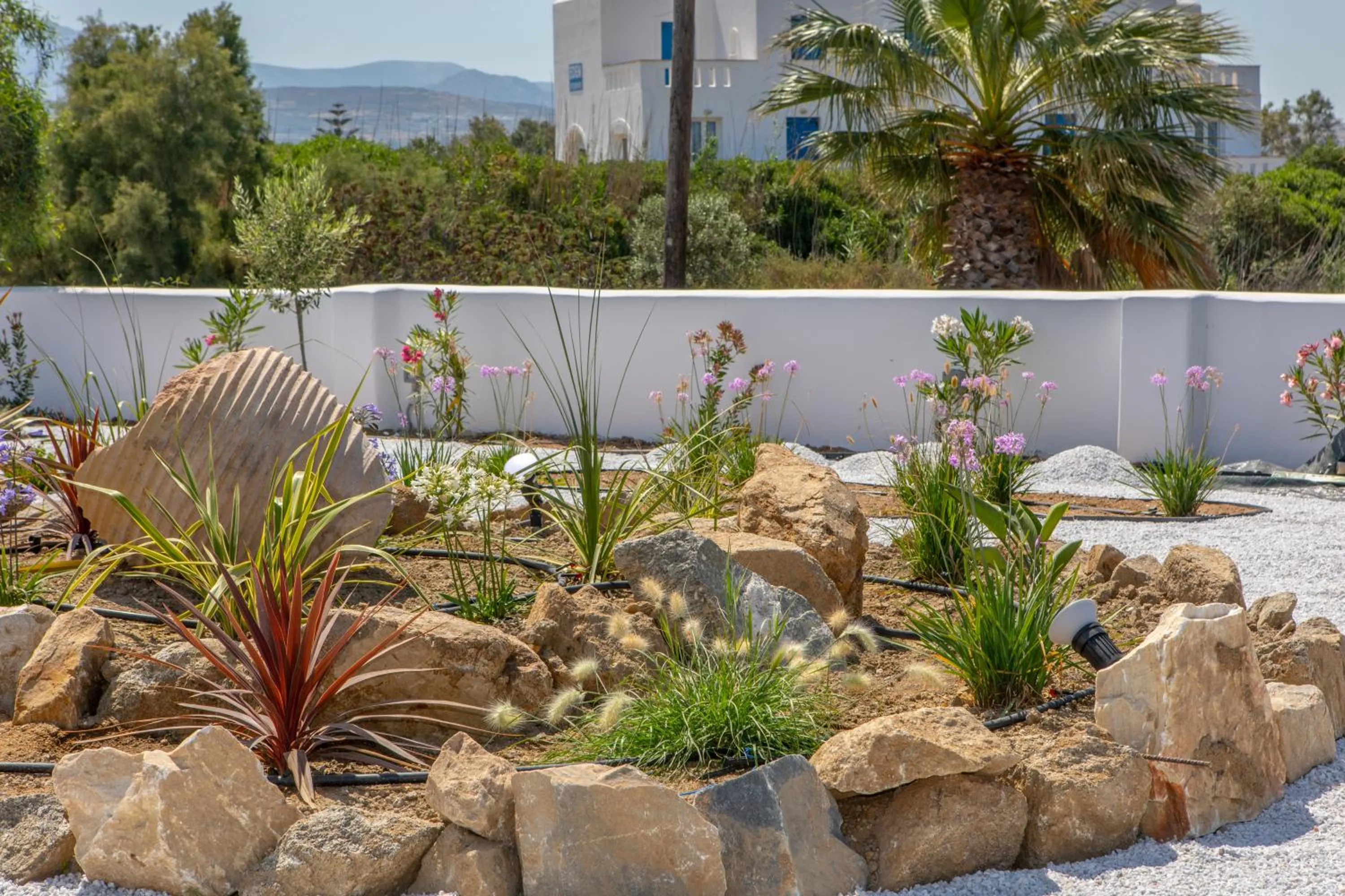Garden in Crystal Mare Suites