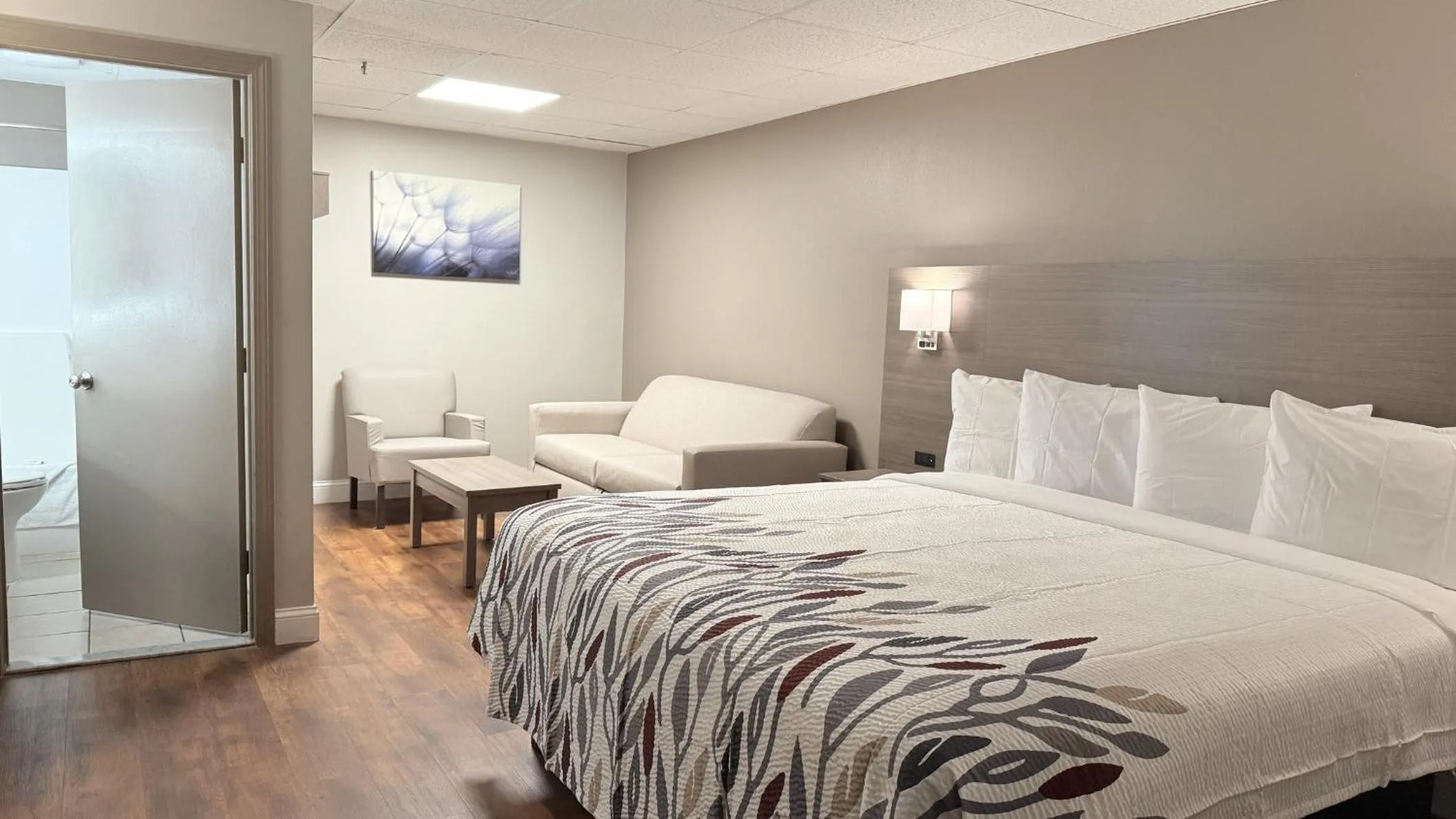 Photo of the whole room, Bed in Red Roof Inn & Suites Swansea