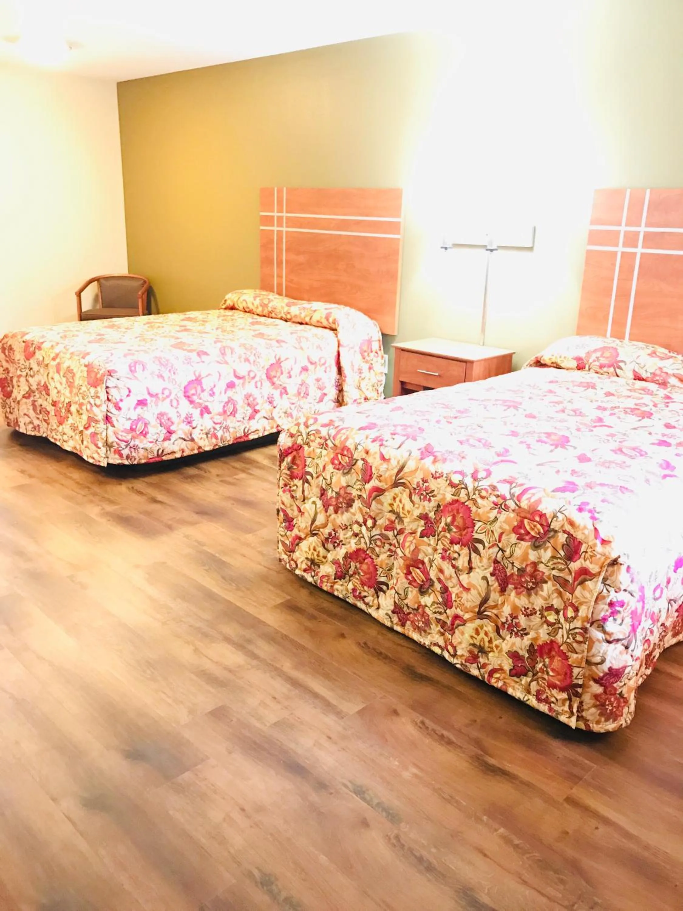 Bed in Rodeway Inn Swansea - Somerset