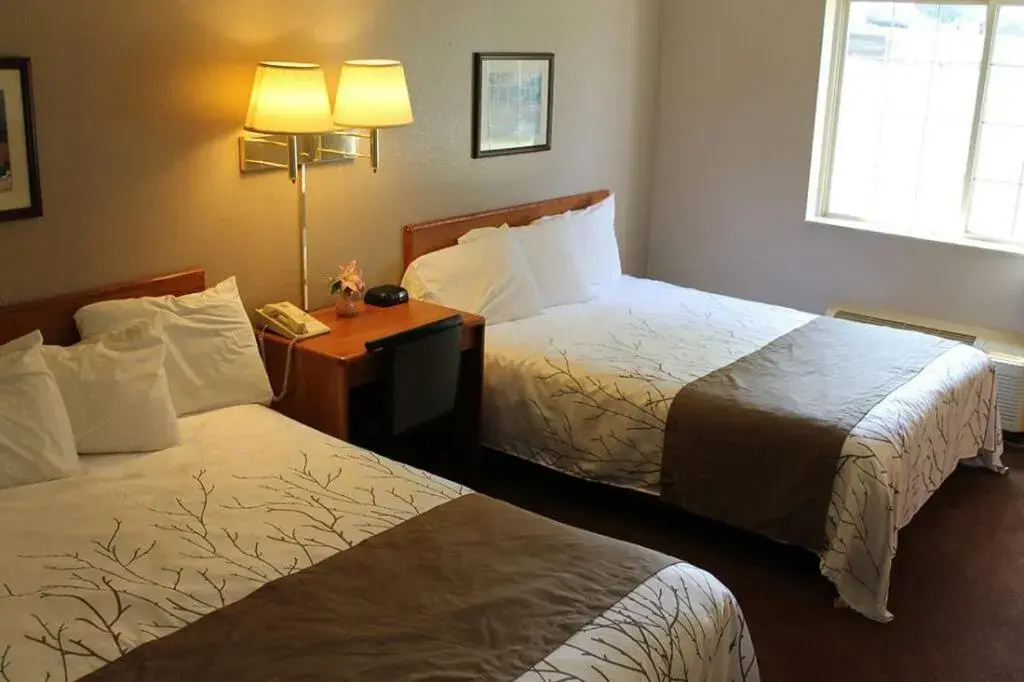 Standard Double Room in Edmore Inn Standard Double Room in Edmore Inn