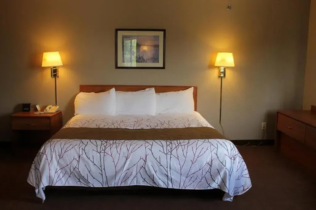 King Suite with Spa Bath in Edmore Inn King Suite with Spa Bath in Edmore Inn