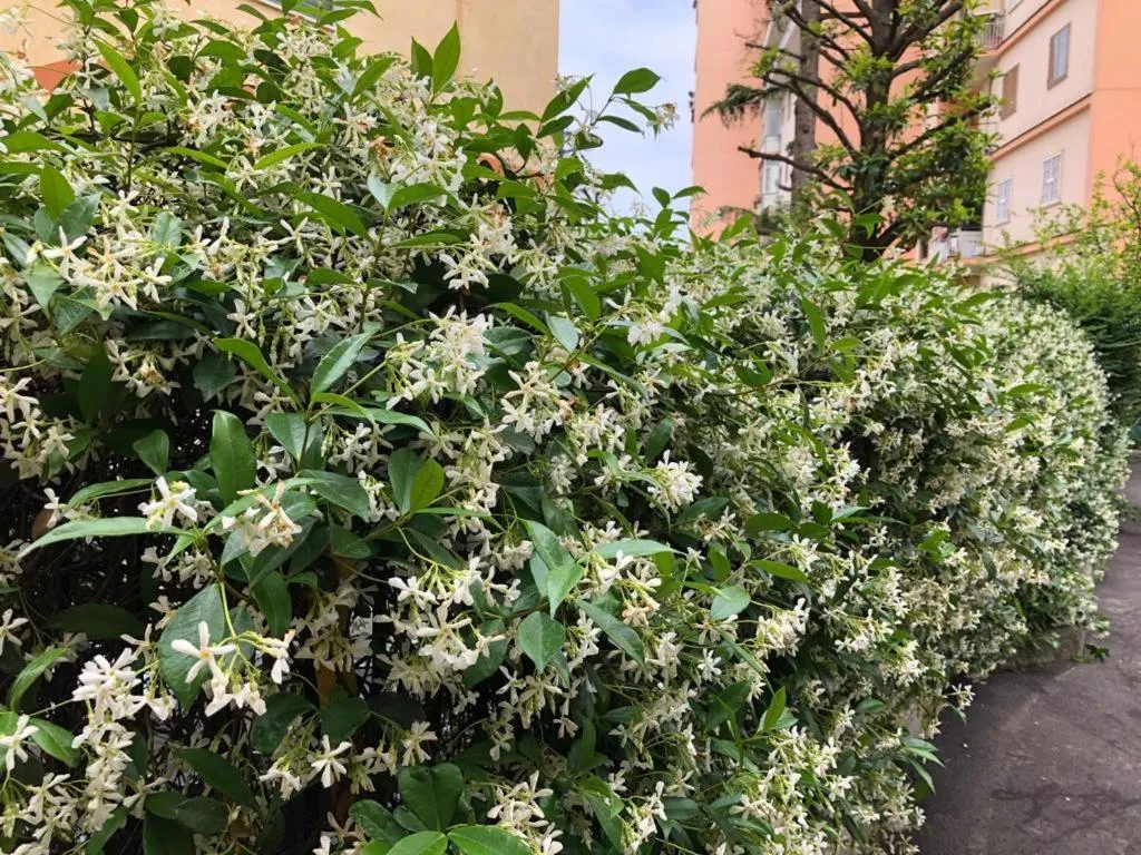 Property building in La Casa nel Parco