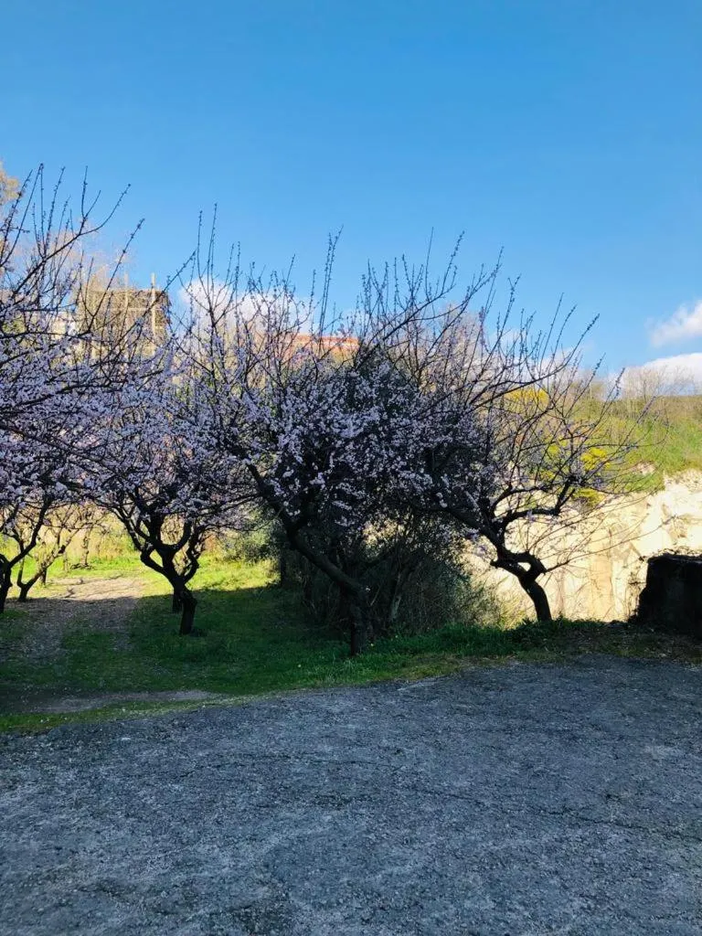 Property building in La Casa nel Parco