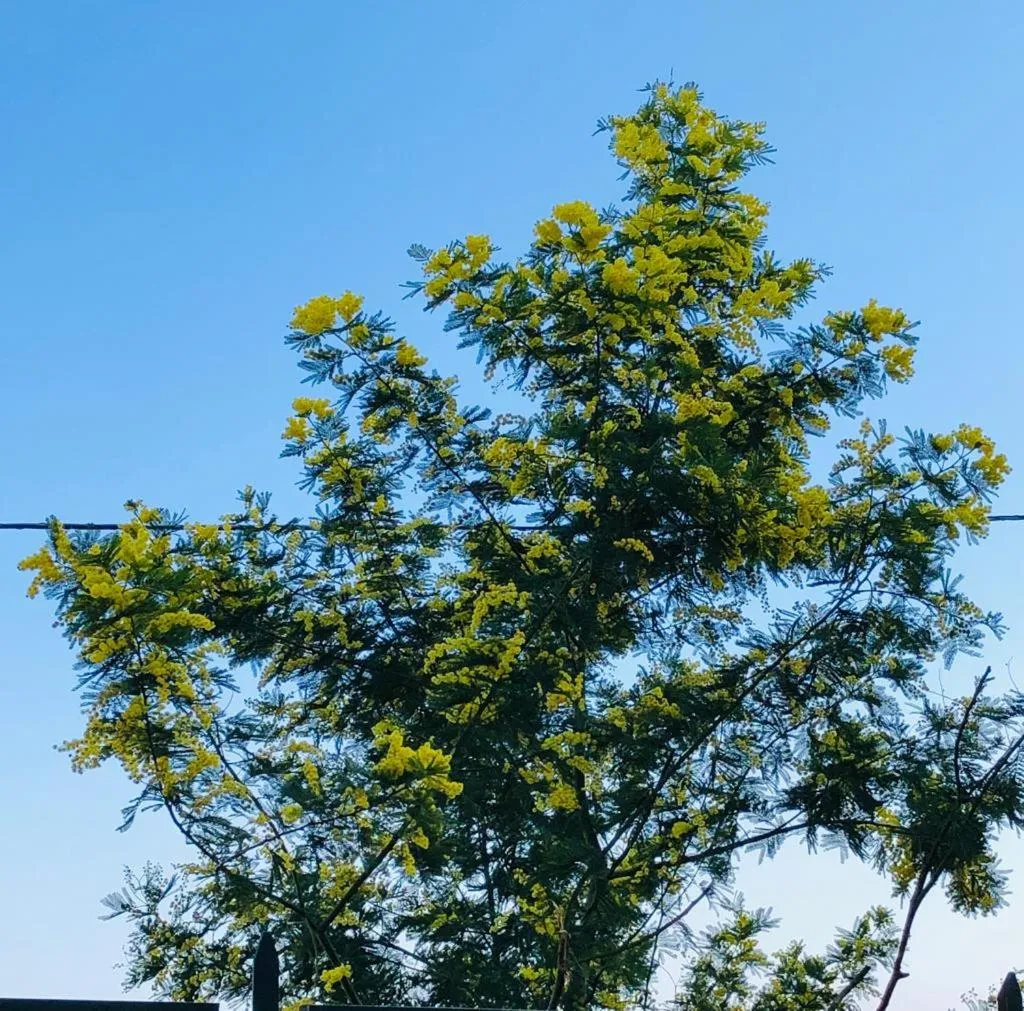 Property building in La Casa nel Parco