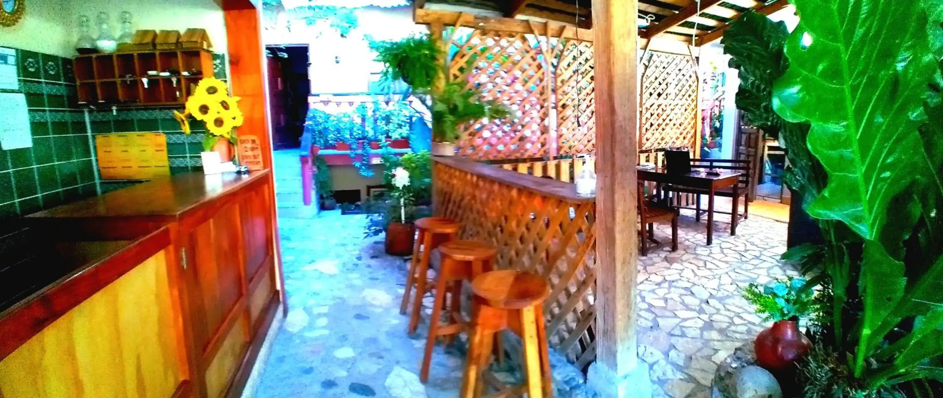 Economy Twin Room - single occupancy in Hotel Rosalila Economy Twin Room - single occupancy in Hotel Rosalila