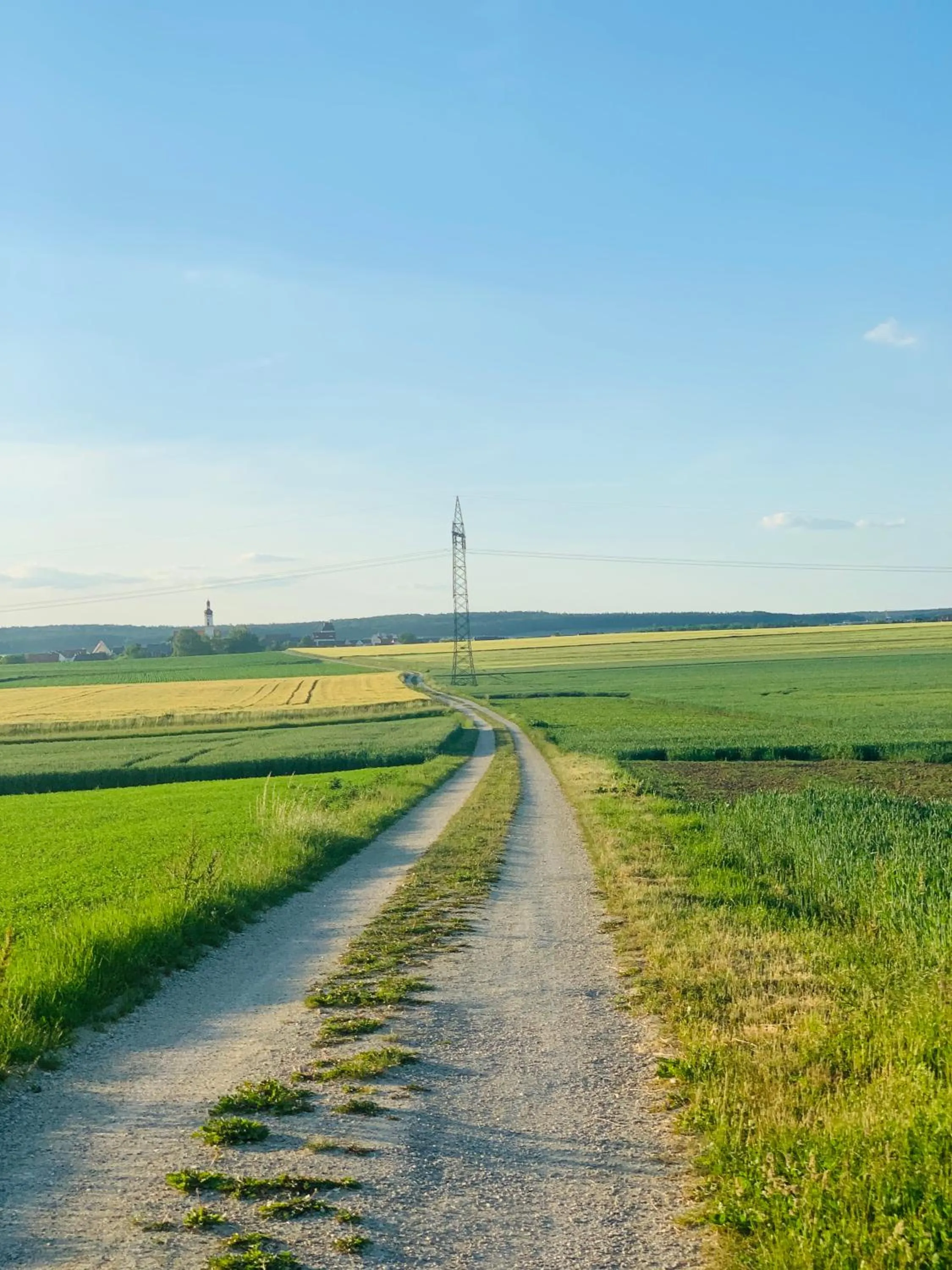 Summer in Intergroup Business & Design Hotel Ingolstadt