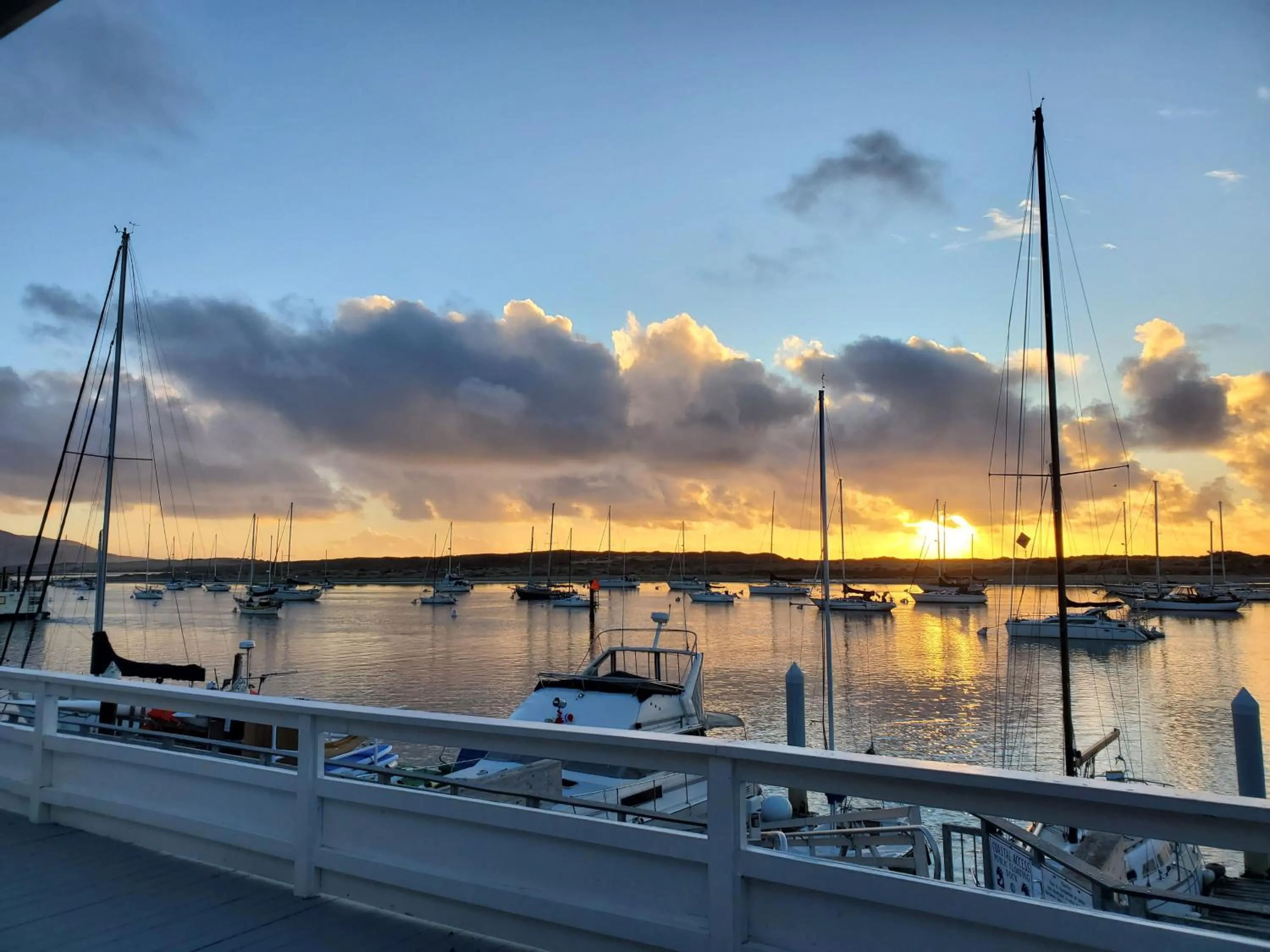 Natural landscape in Gray's Inn & Gallery