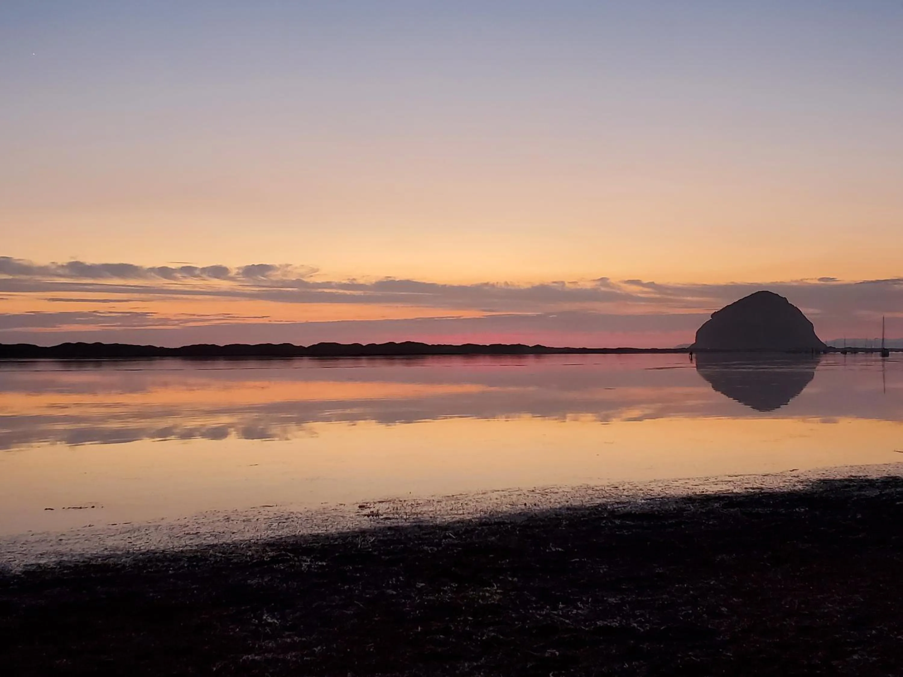 Natural landscape in Gray's Inn & Gallery