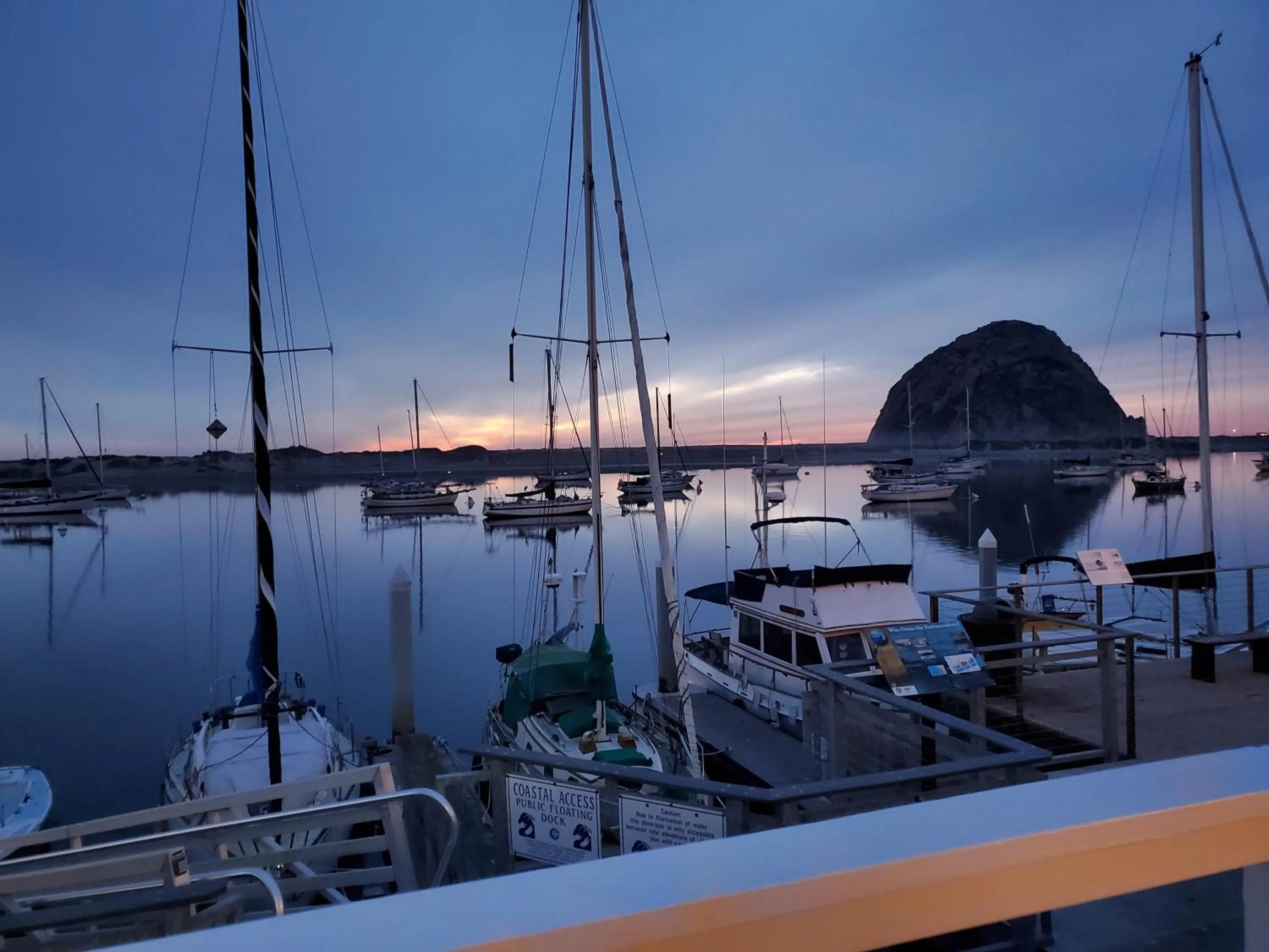Natural landscape in Gray's Inn & Gallery