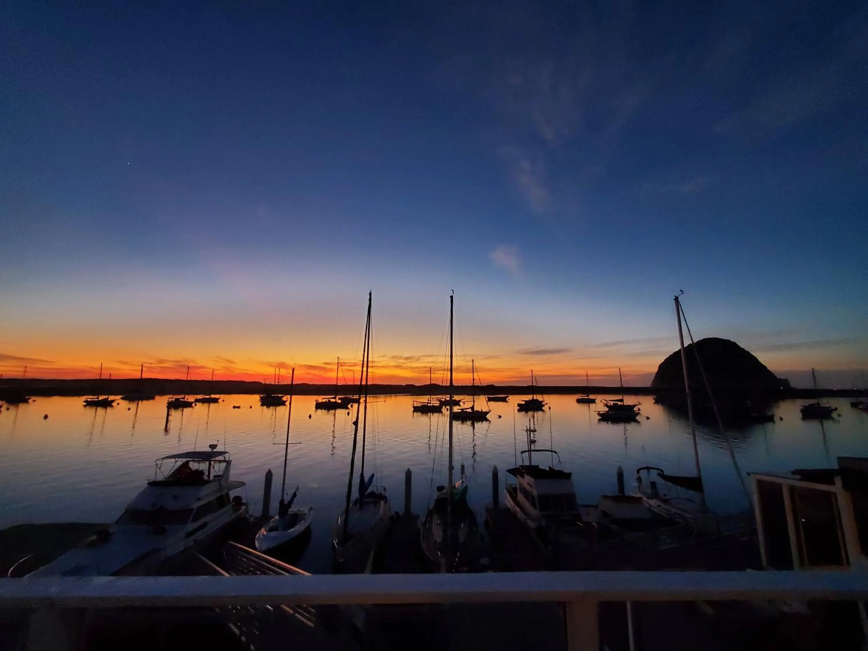 Natural landscape in Gray's Inn & Gallery