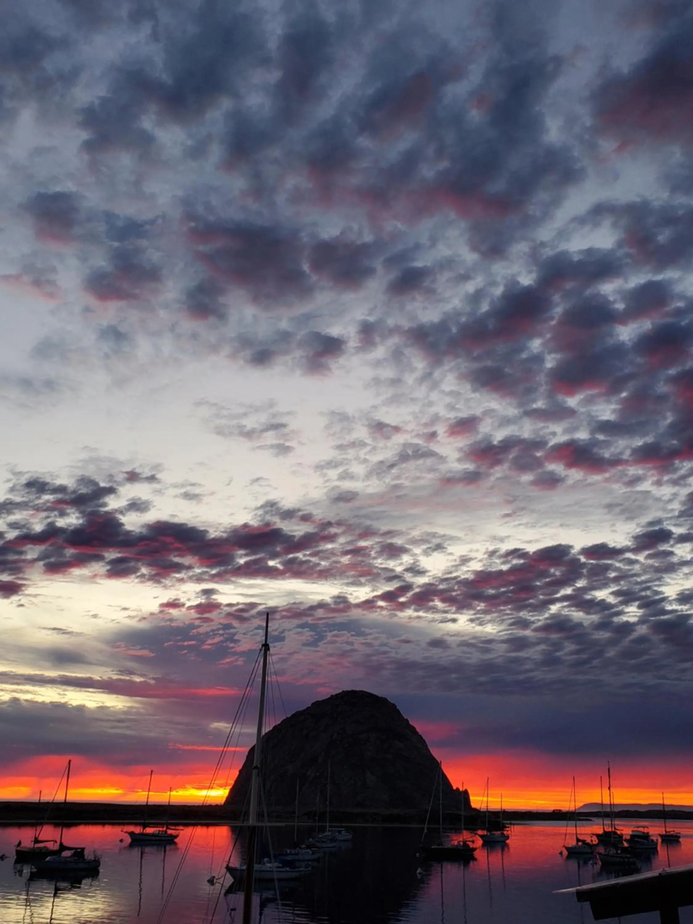 Summer in Gray's Inn & Gallery