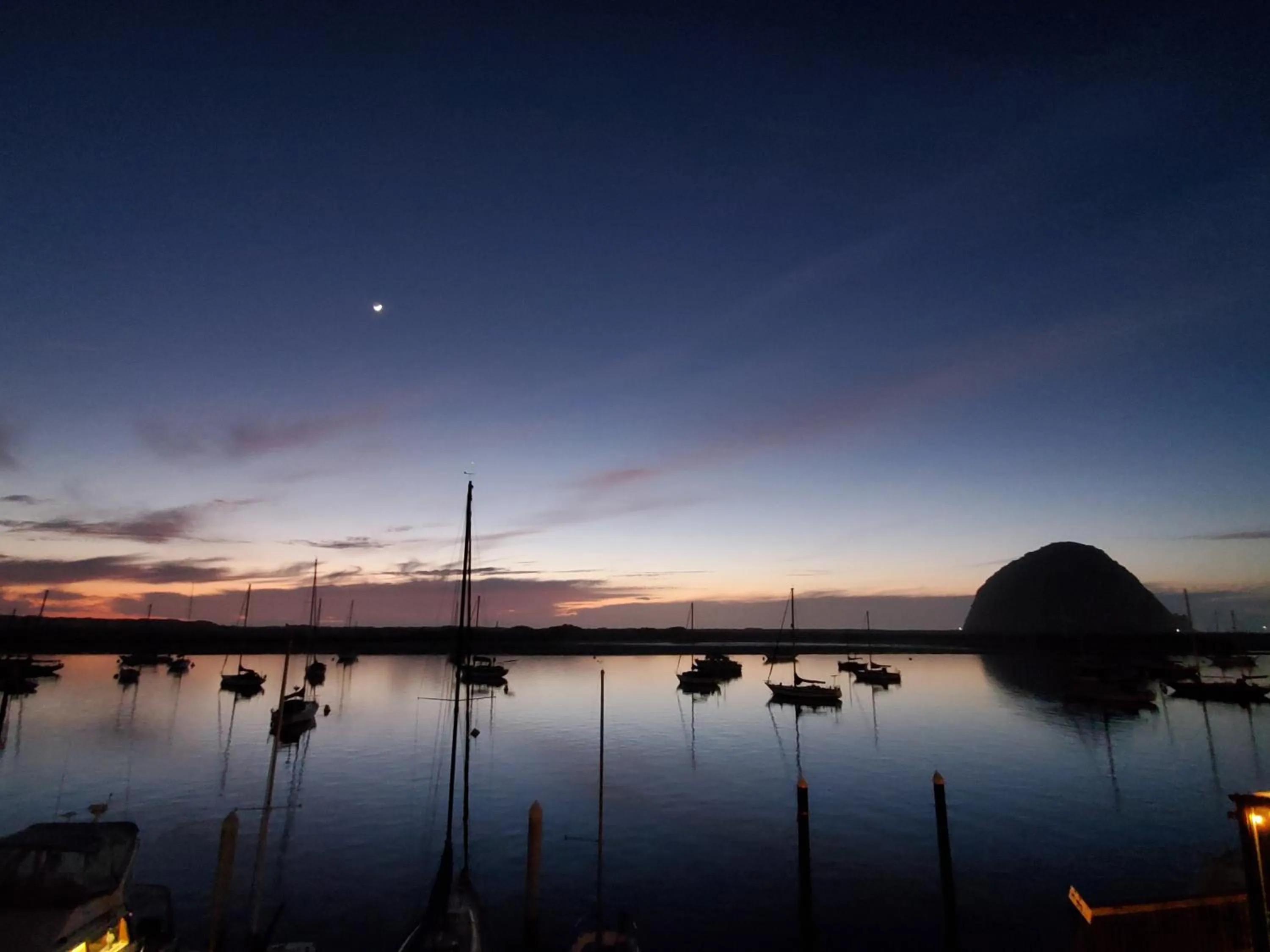 Natural landscape in Gray's Inn & Gallery