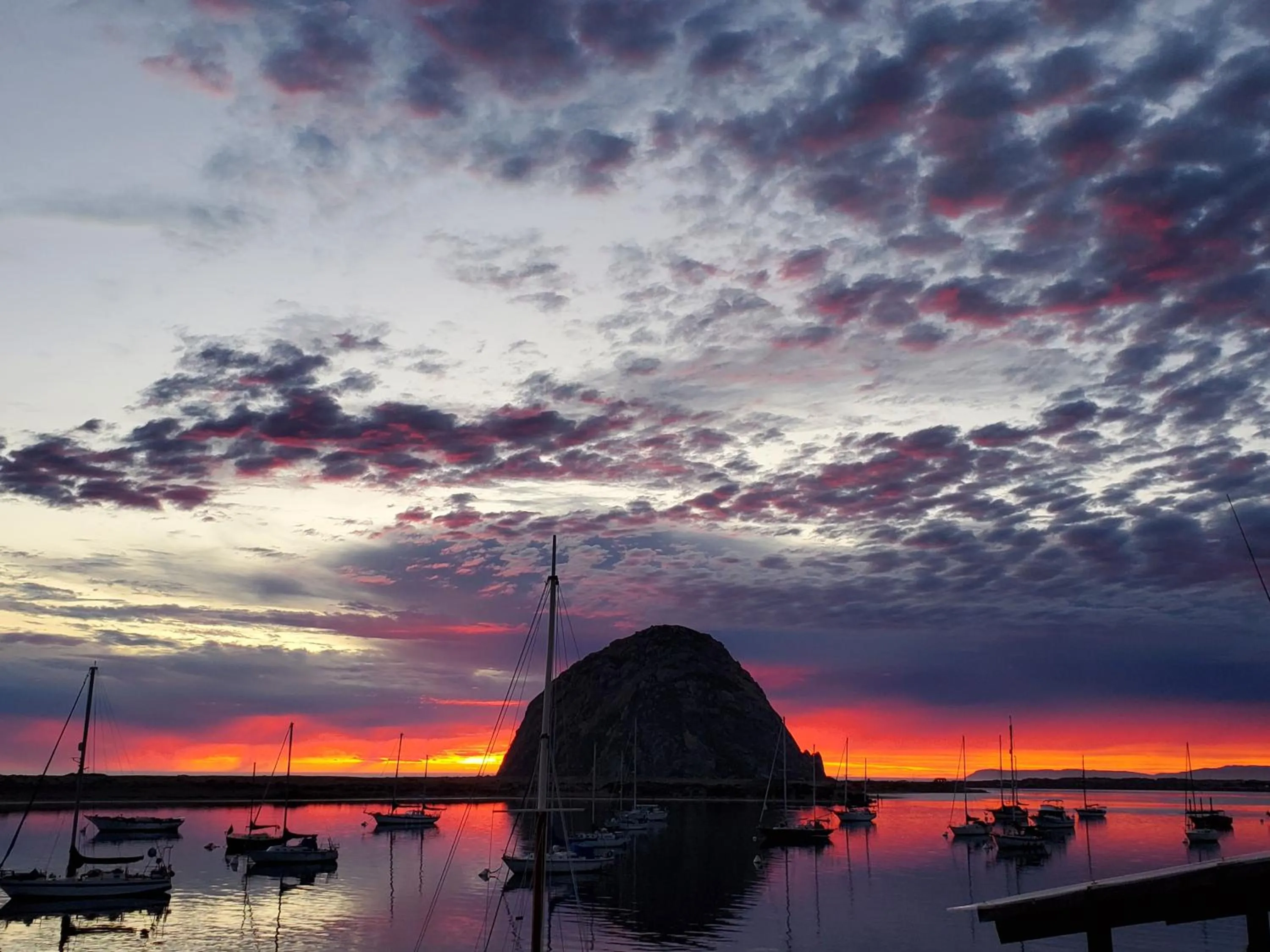 Summer in Gray's Inn & Gallery