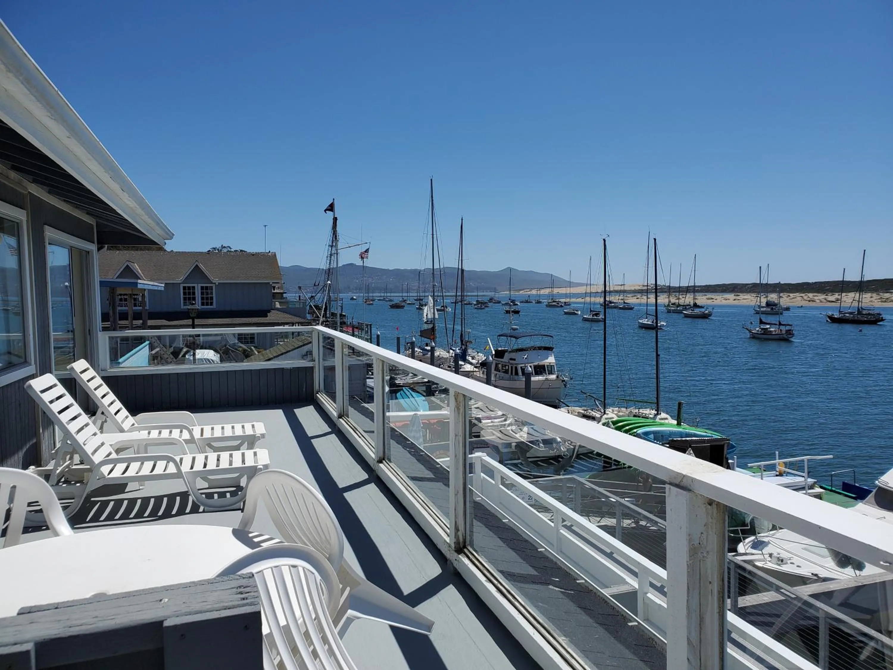 Spring in Gray's Inn & Gallery