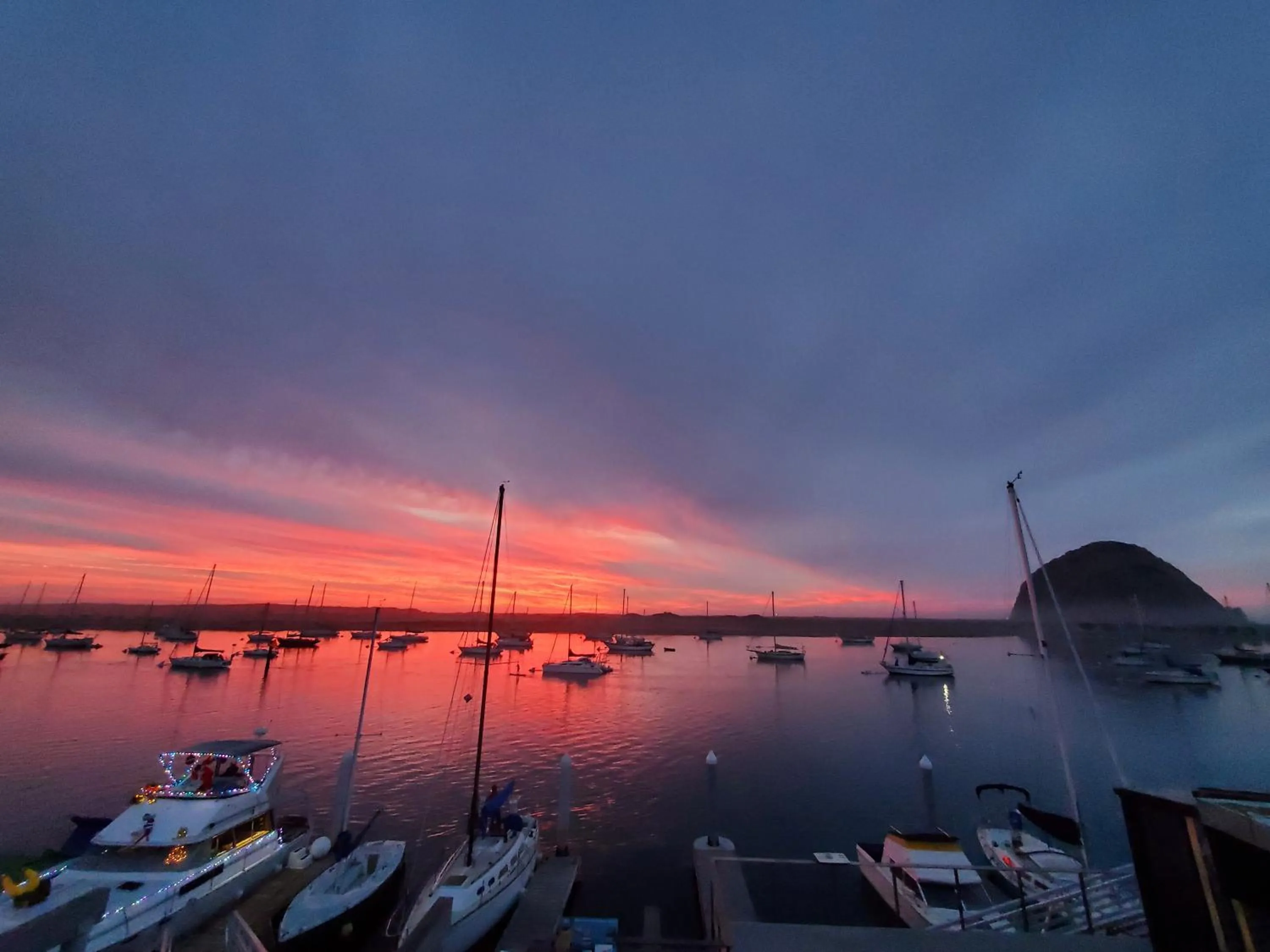 Natural landscape in Gray's Inn & Gallery