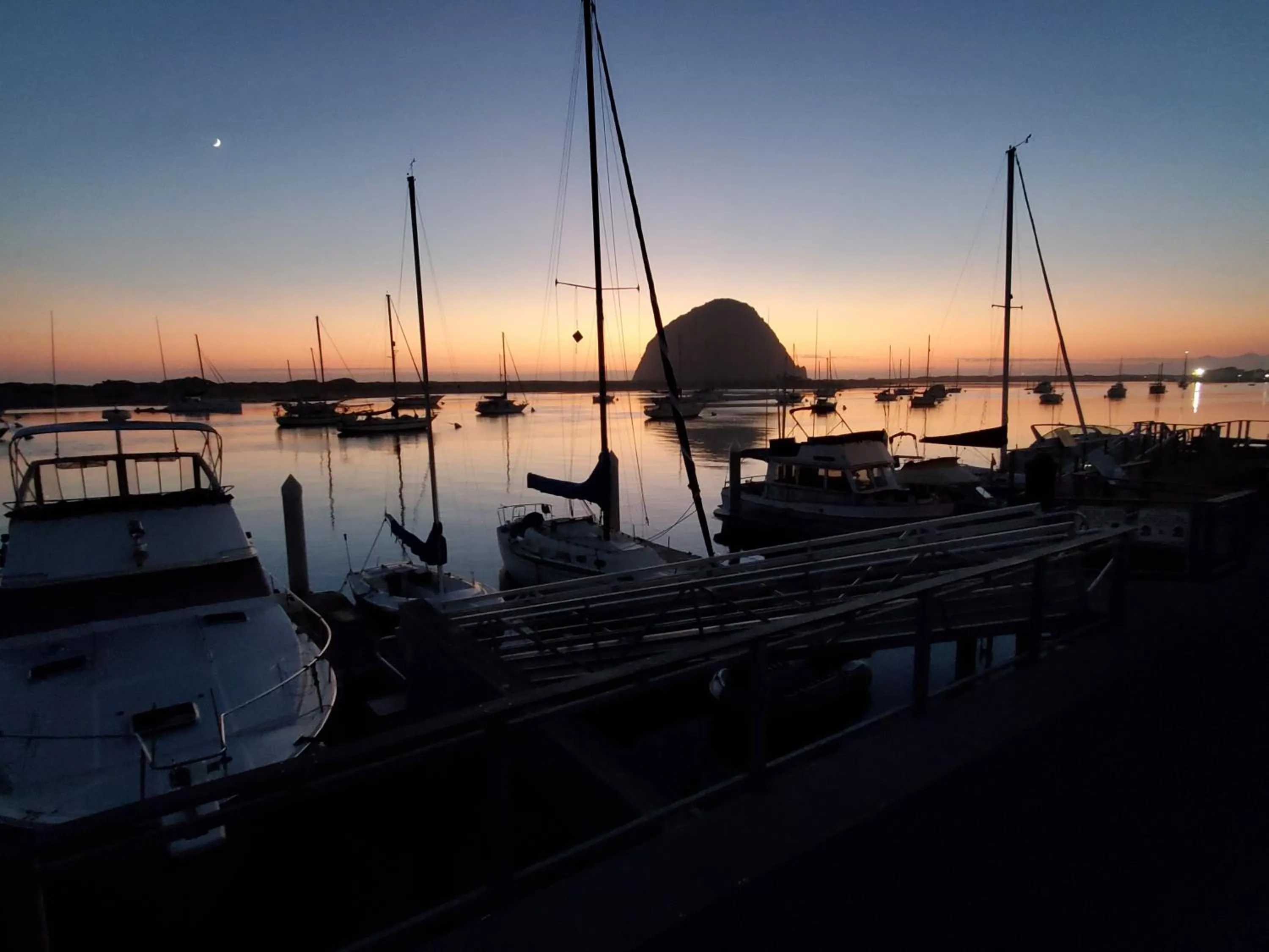 Summer in Gray's Inn & Gallery