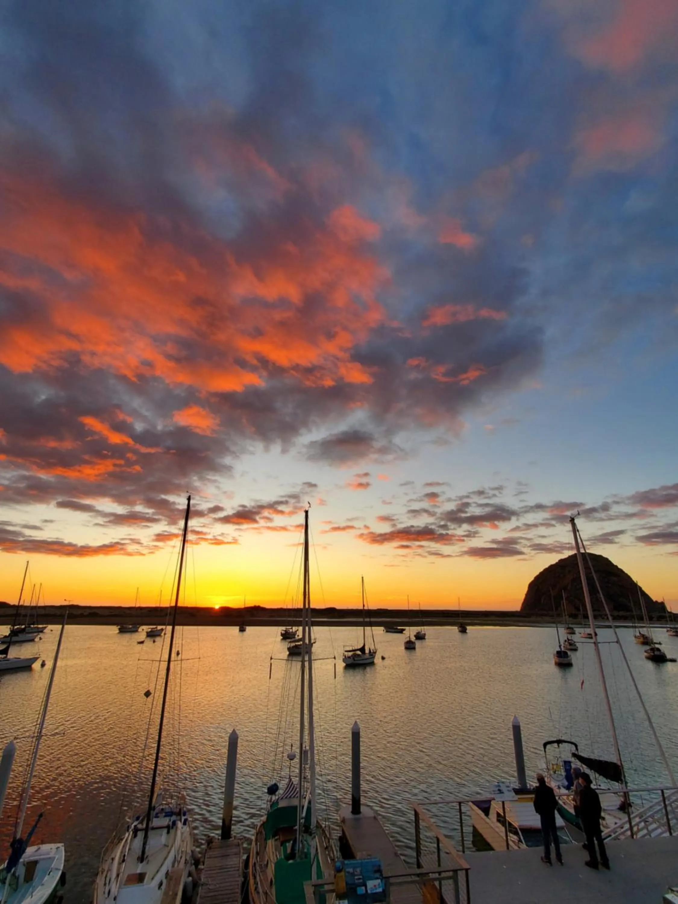 Natural landscape in Gray's Inn & Gallery