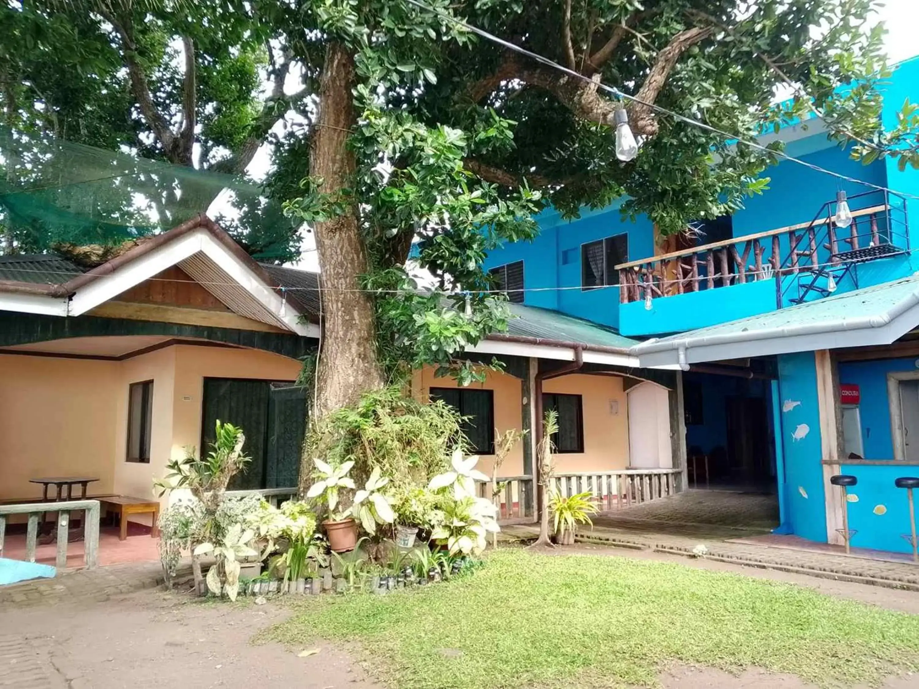 Property building in July's Haven Seaside Pension Camiguin Property building in July's Haven Seaside Pension Camiguin