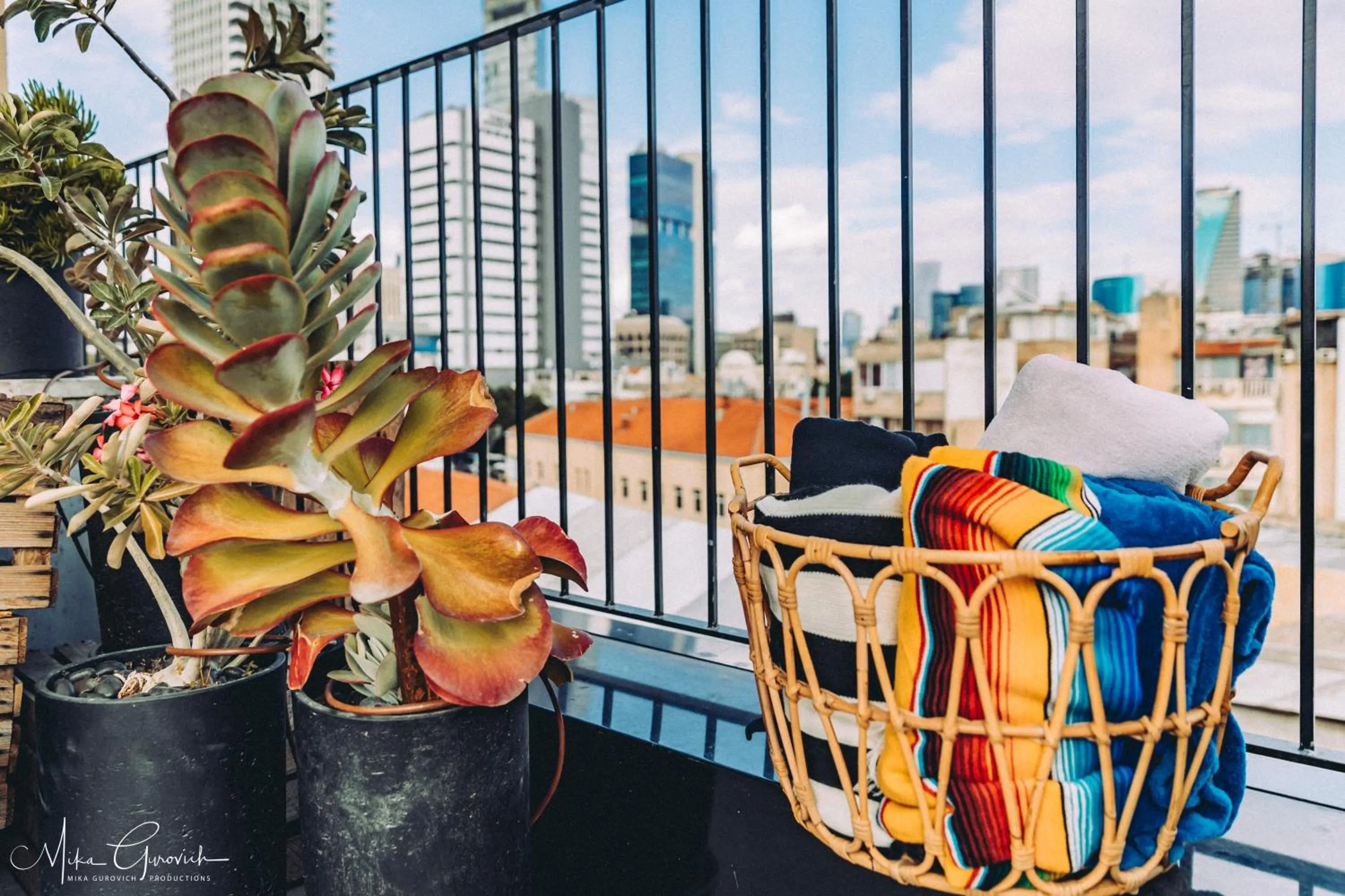 City view in Dave Levinsky, a member of Brown Hotels