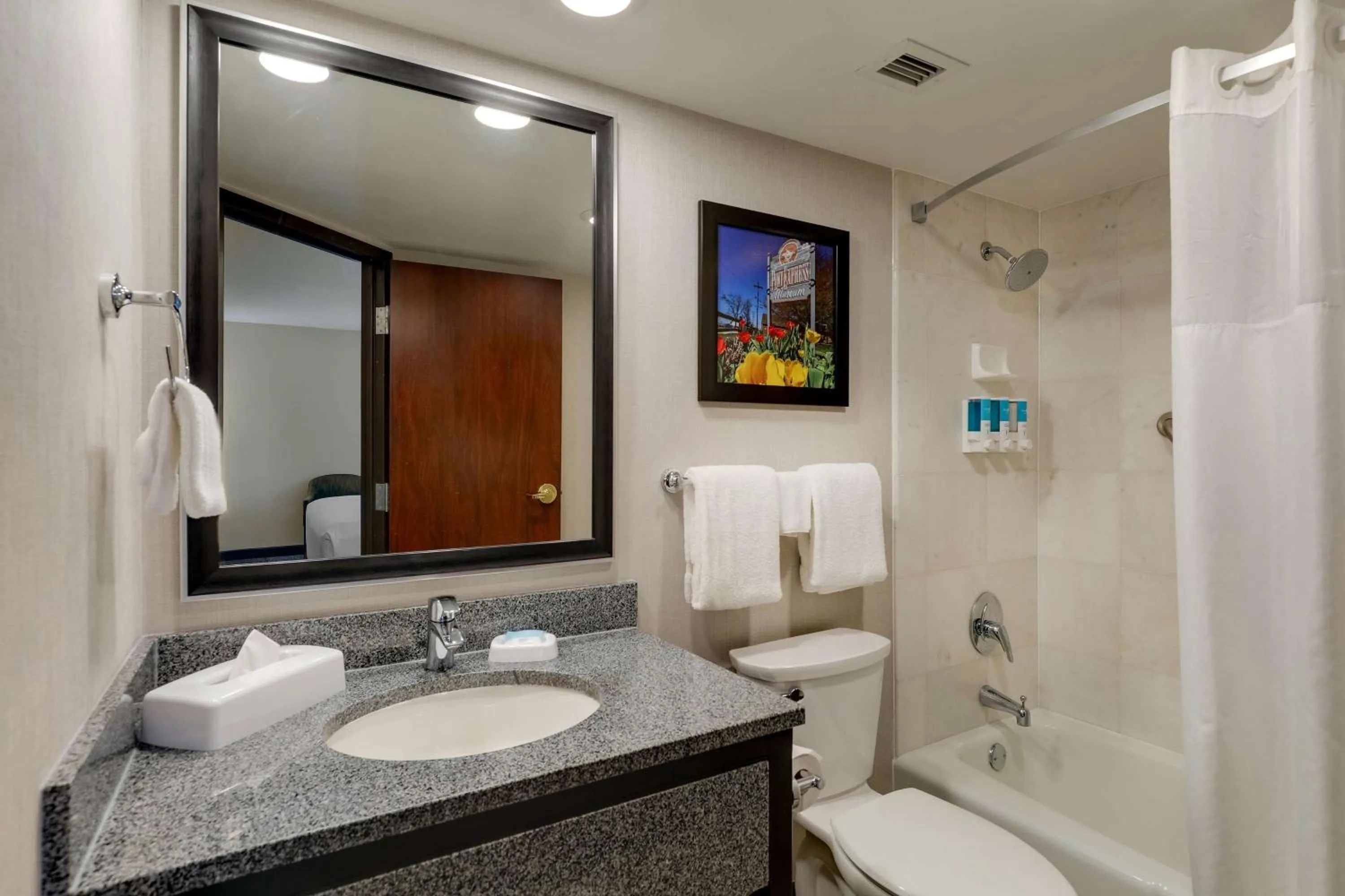 Bathroom in Drury Inn & Suites St Joseph