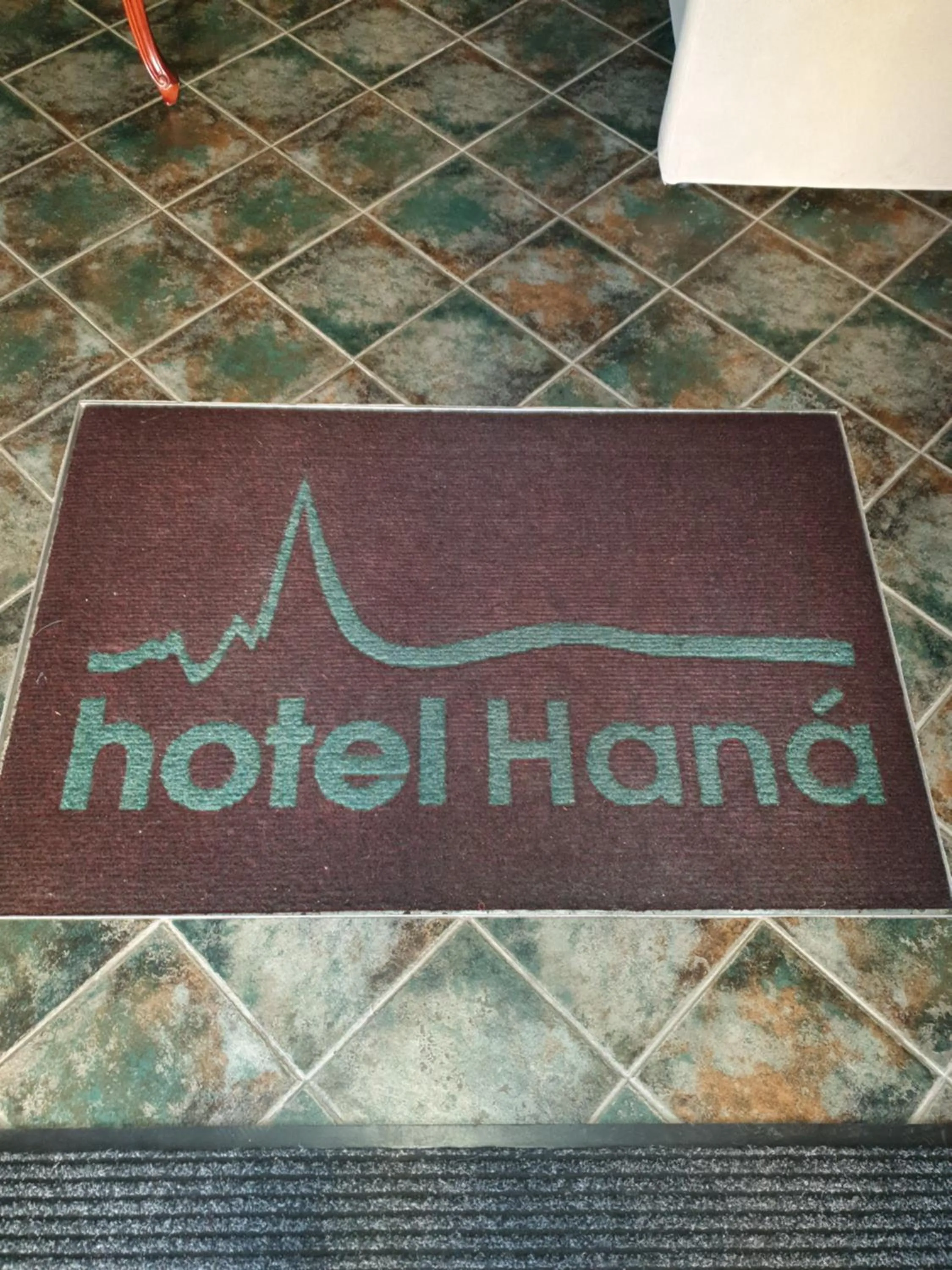 Hotel Haná