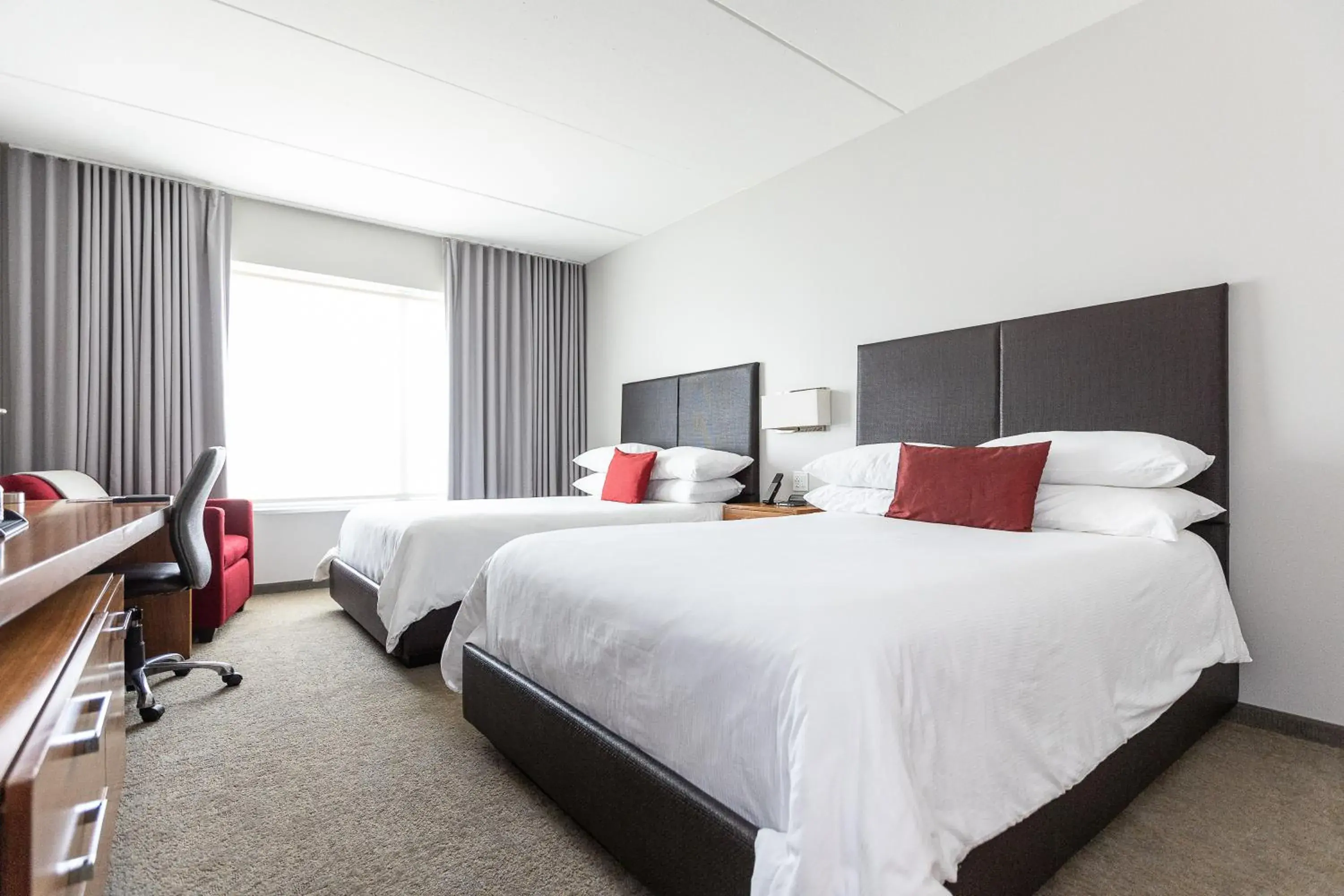 Bedroom, Bed in I Hotel and Illinois Conference Center - Champaign Bedroom, Bed in I Hotel and Illinois Conference Center - Champaign