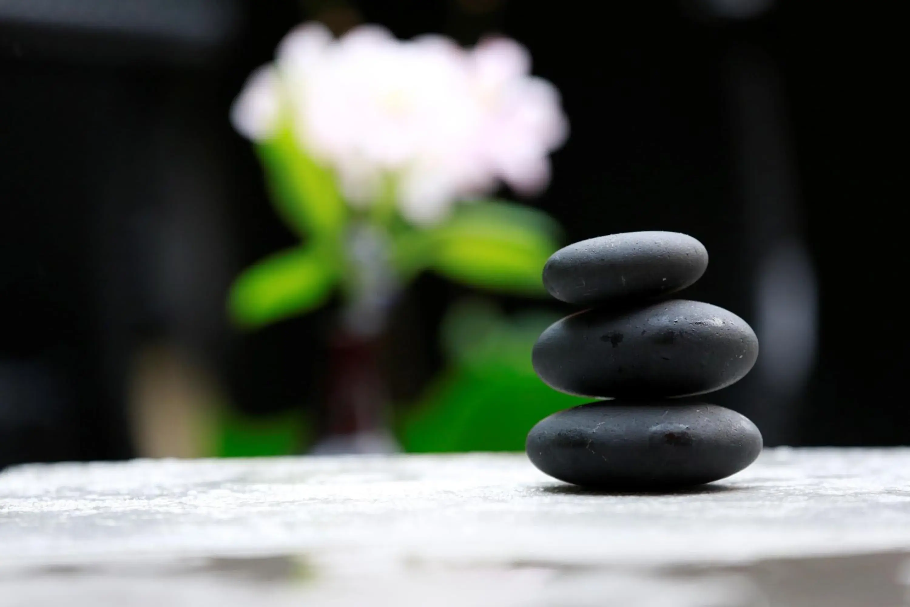 Spa and wellness centre/facilities in I Hotel and Illinois Conference Center - Champaign Spa and wellness centre/facilities in I Hotel and Illinois Conference Center - Champaign