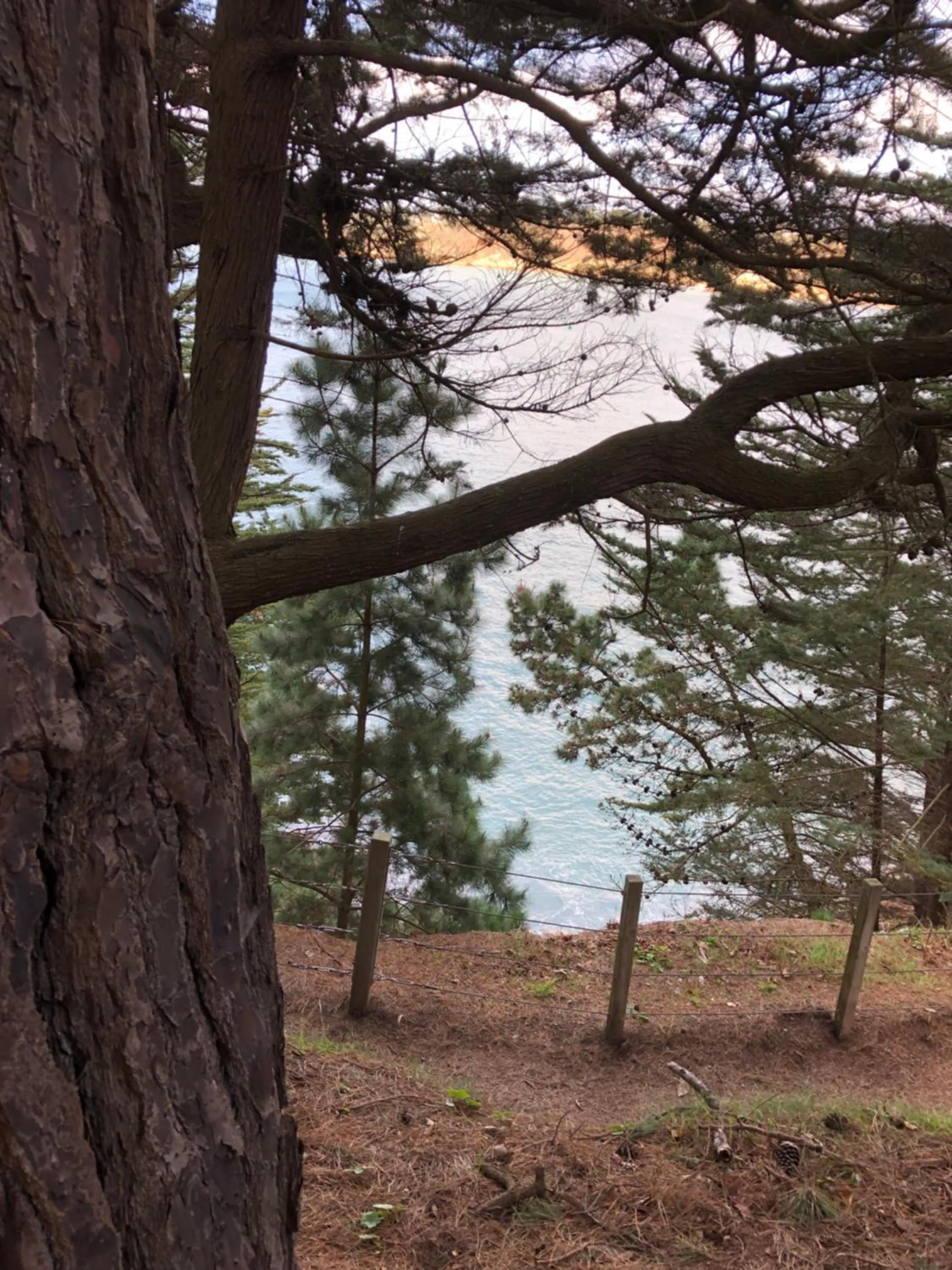 Natural landscape in La Miellerie