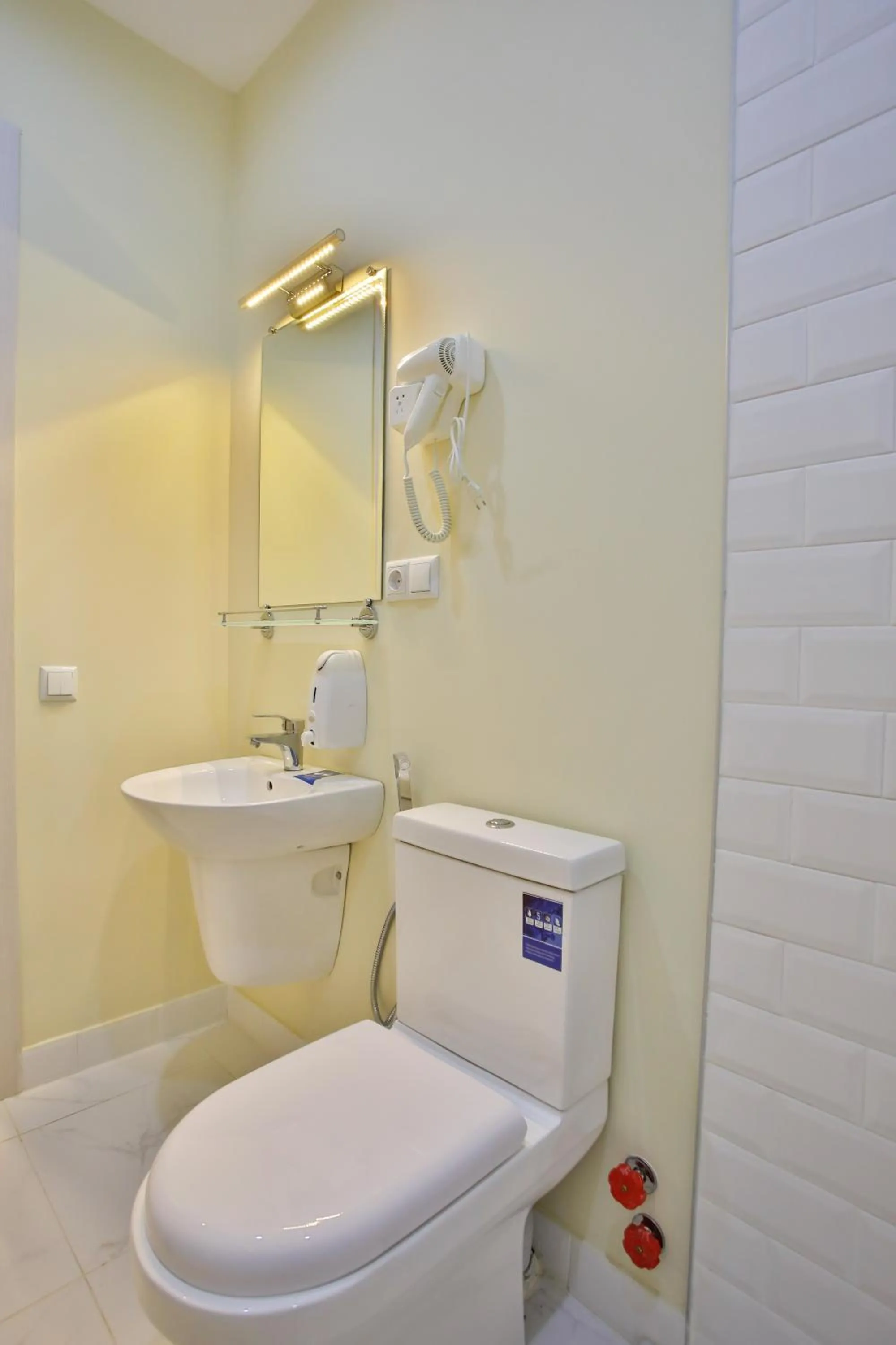 Toilet in Chveni Qalaqi