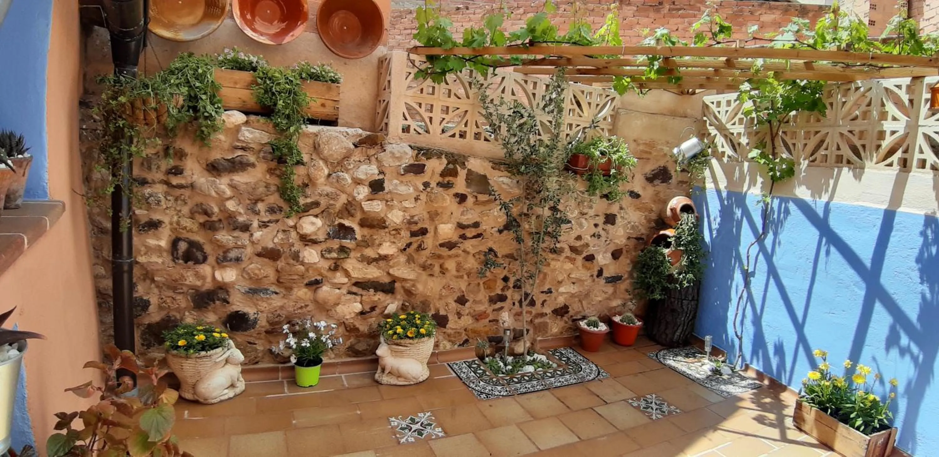 Casa Rural "El Olivo"
