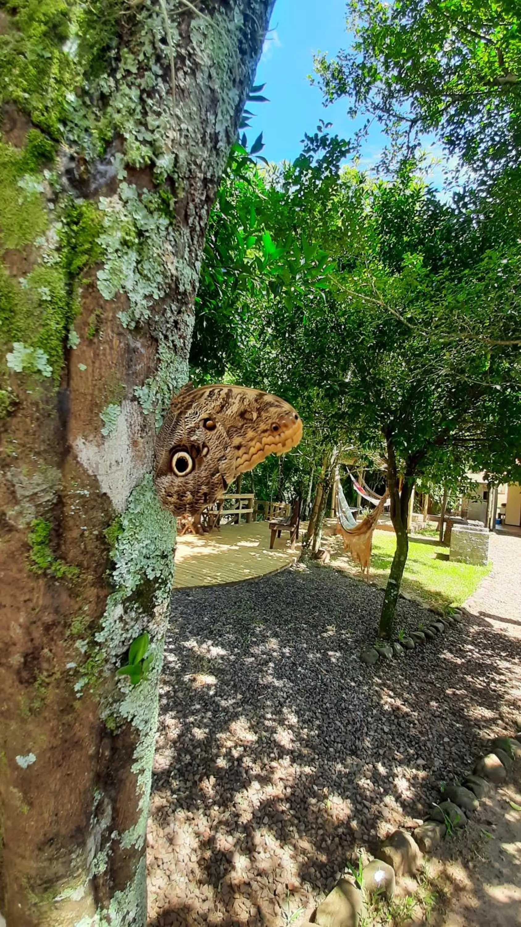 Property building in Pousada Recanto dos Canyons