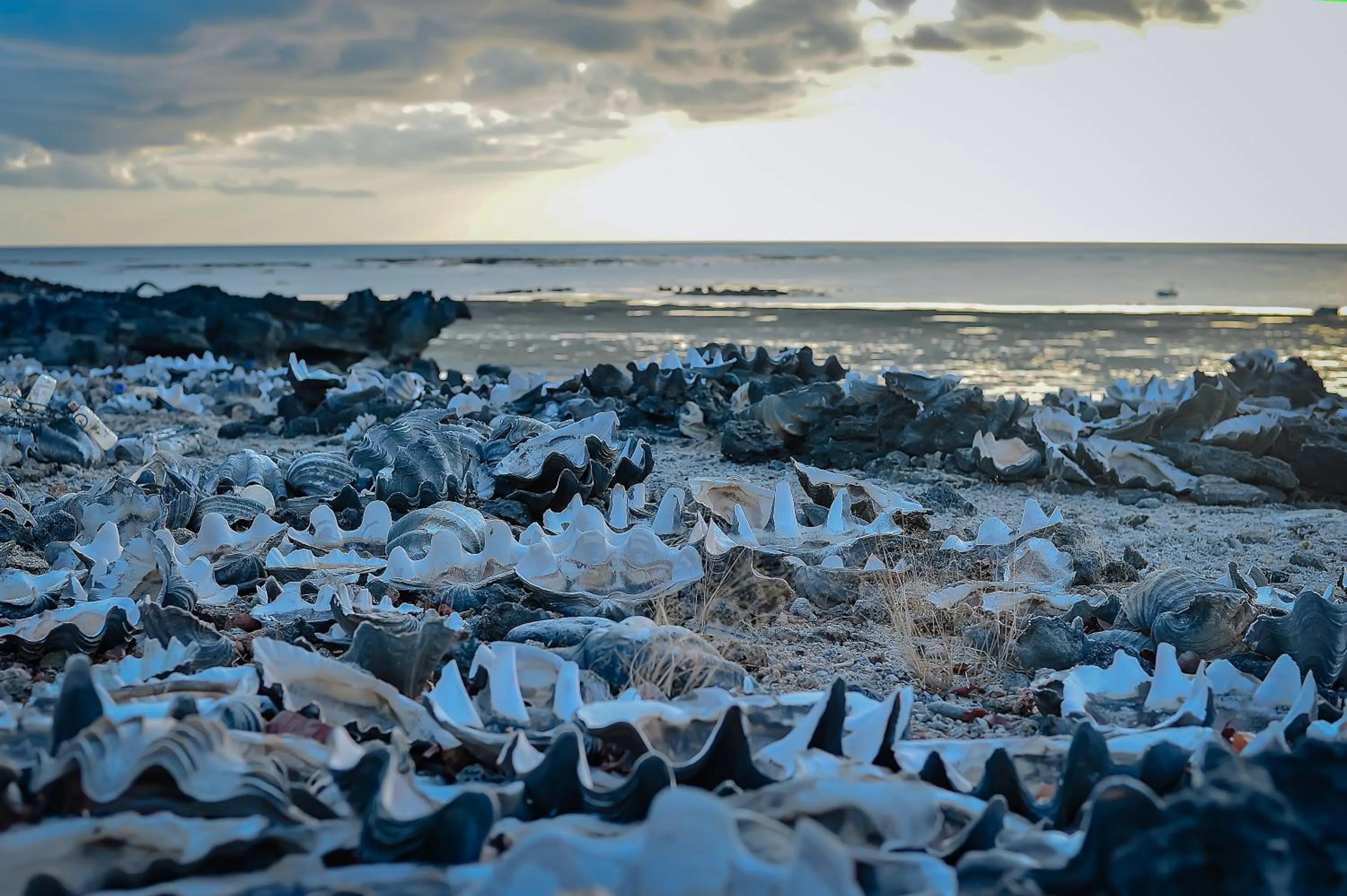 Off site in Mulia Bungalows